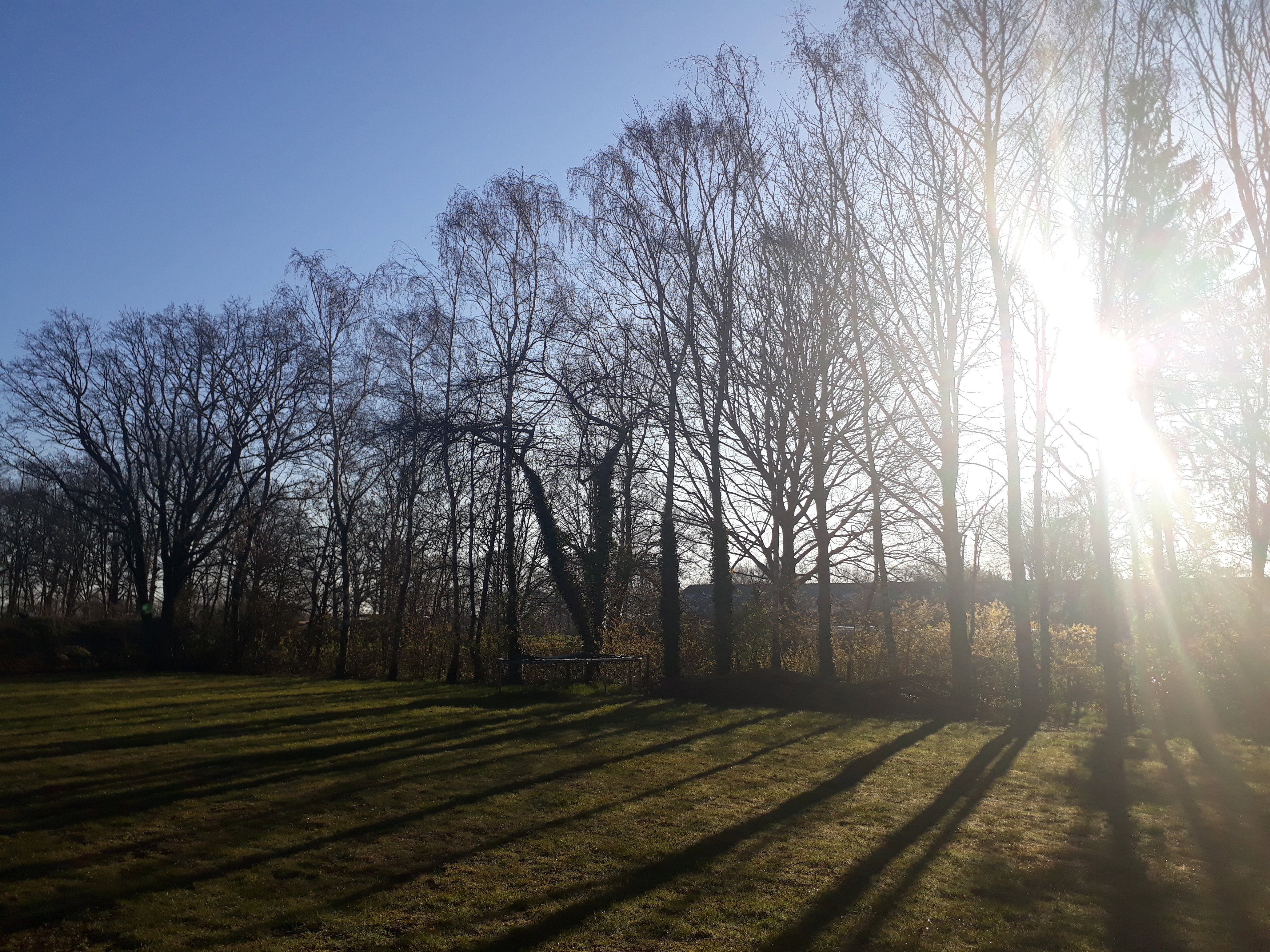 Naturhäuschen in Hoeven
