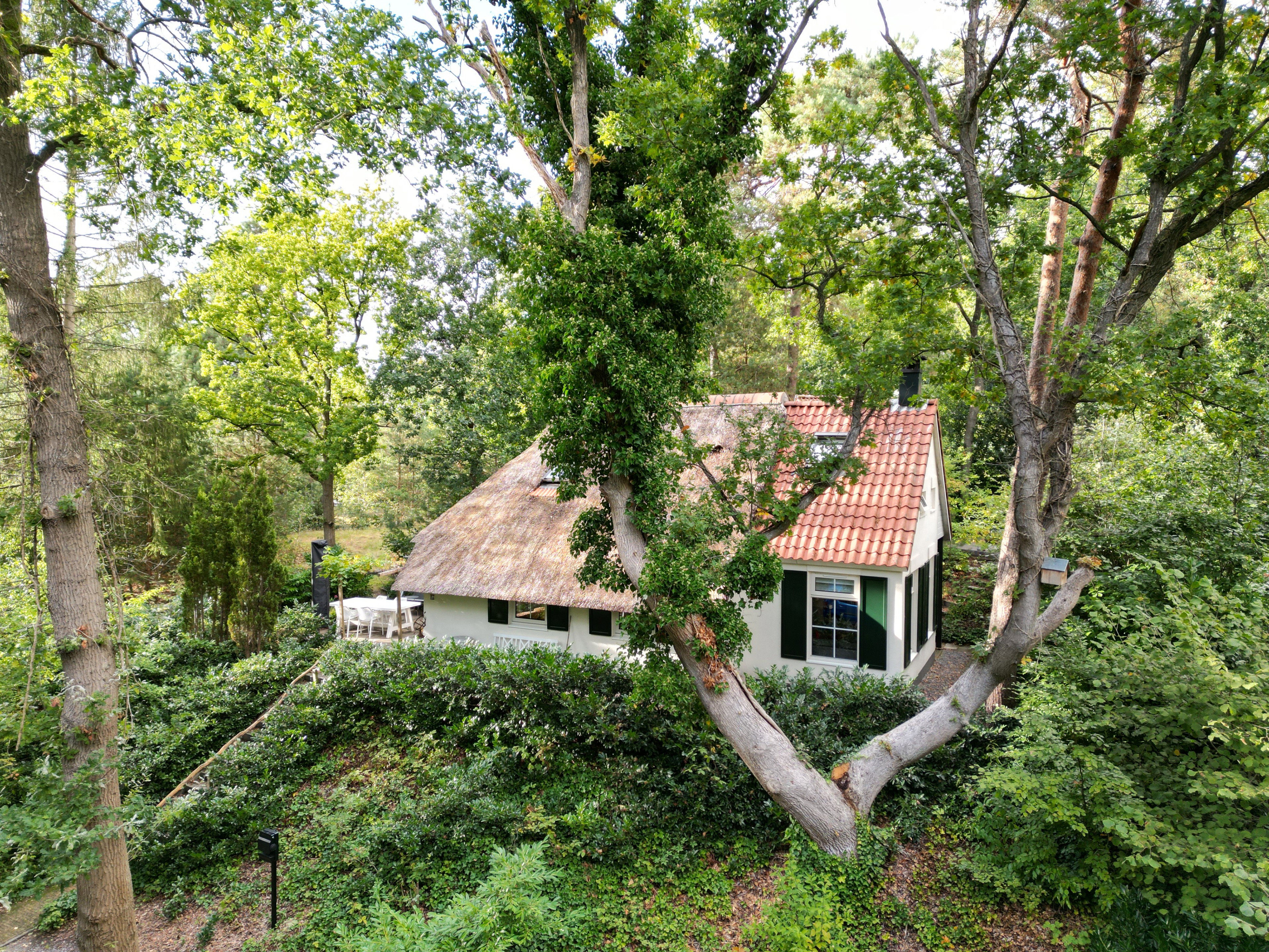 Natuurhuisje in IJhorst
