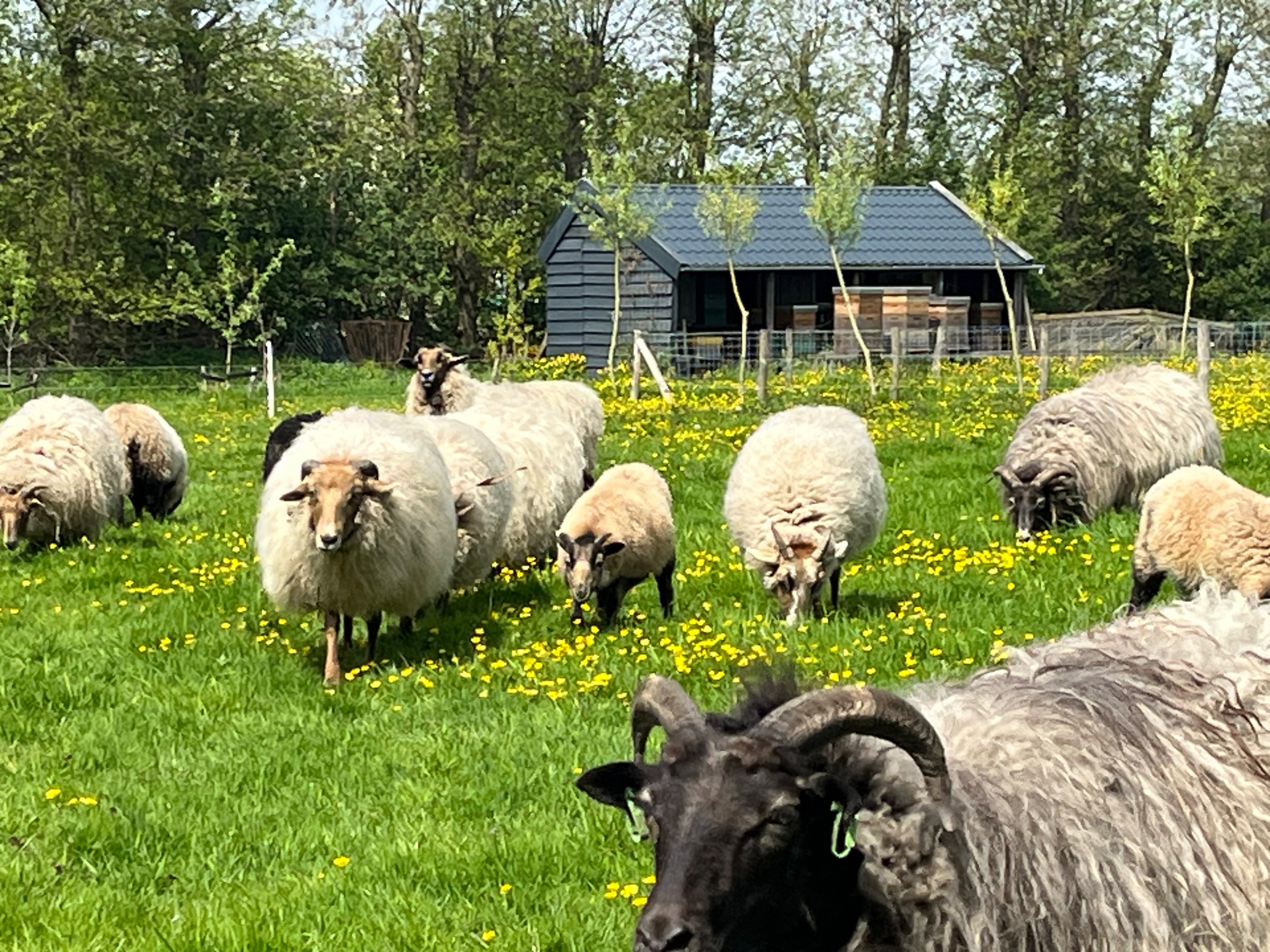Casa nella natura a Zuidoostbeemster