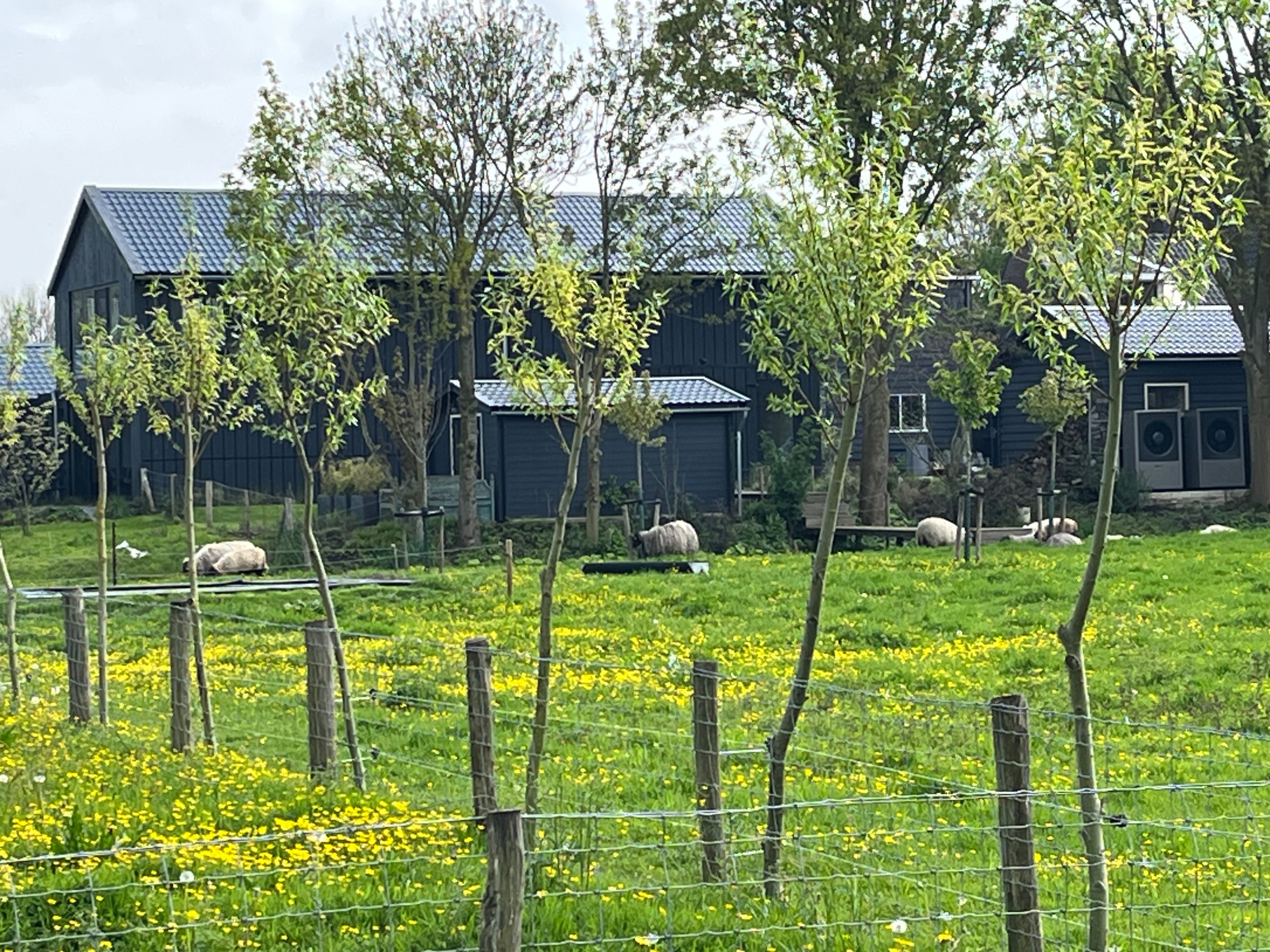 Casa nella natura a Zuidoostbeemster