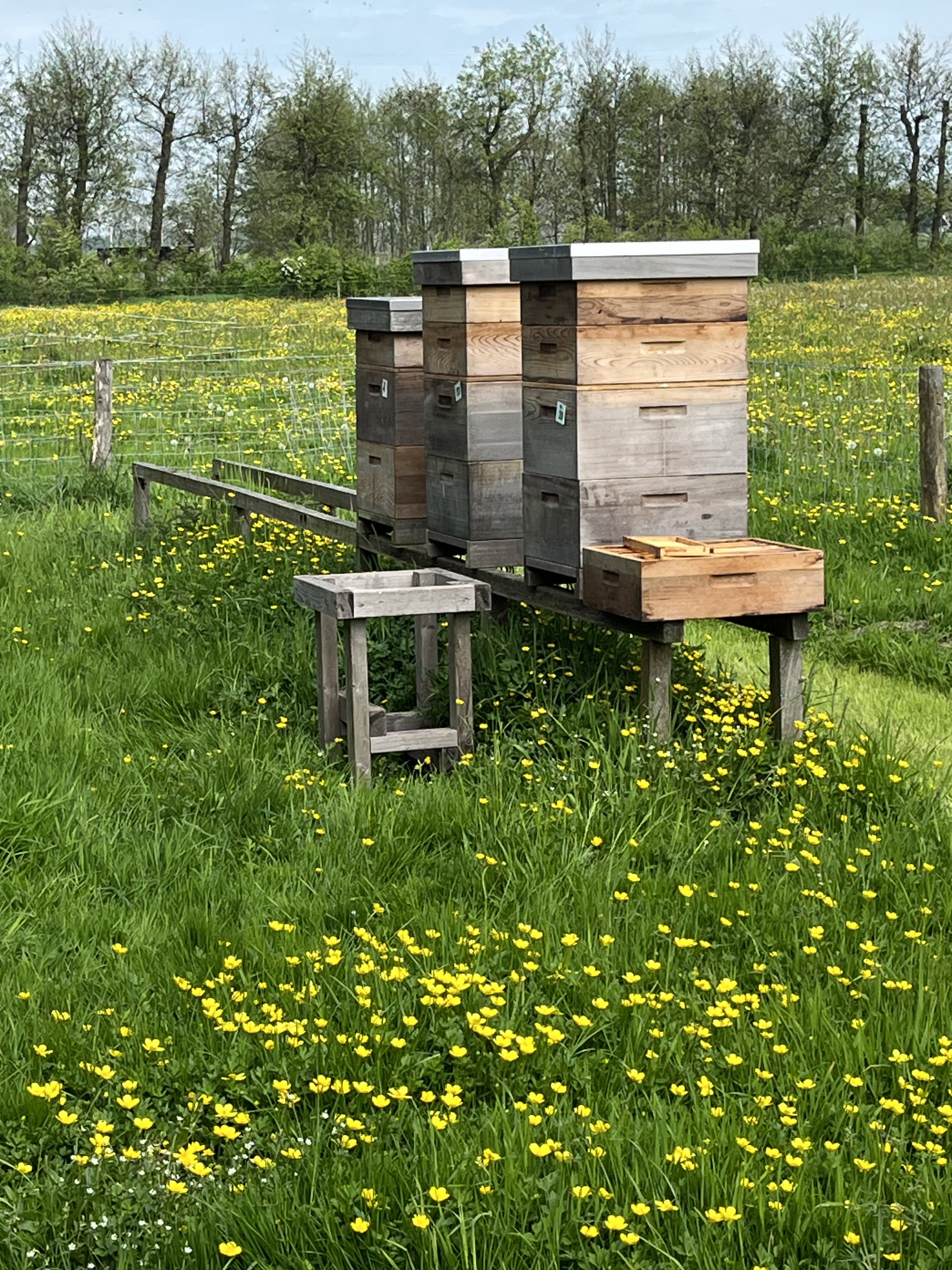 Casa nella natura a Zuidoostbeemster