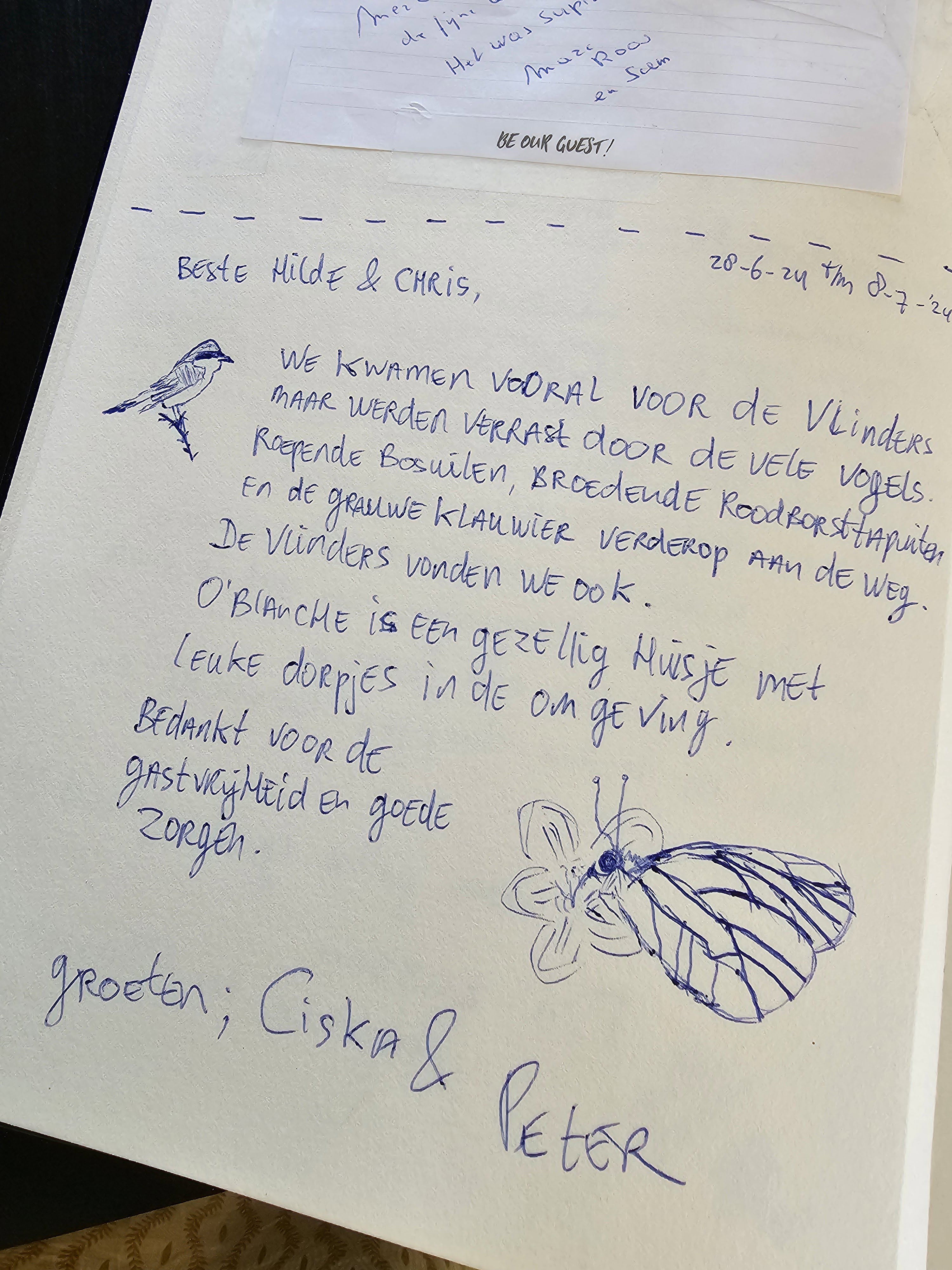 - image: 19