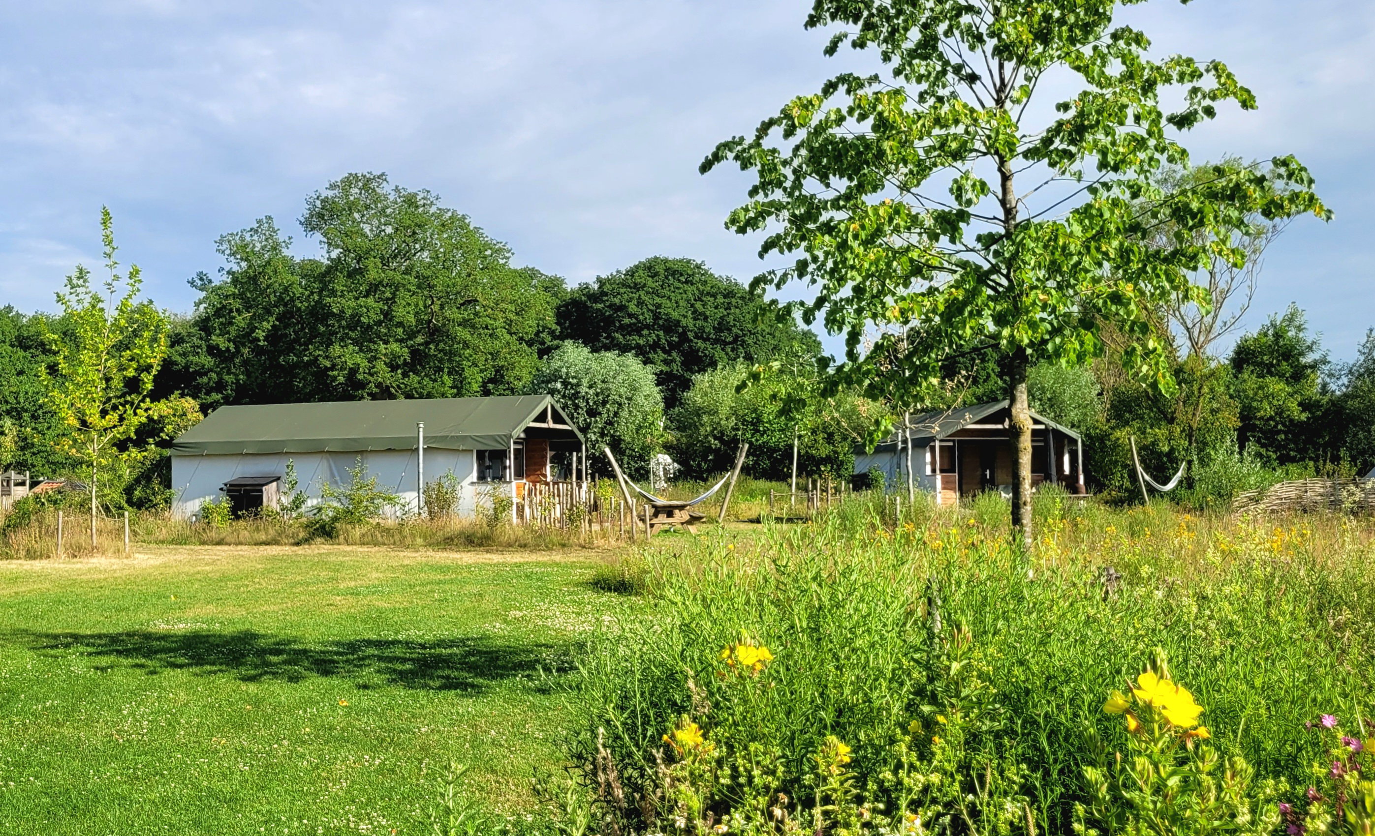 Casa nella natura a Ruurlo