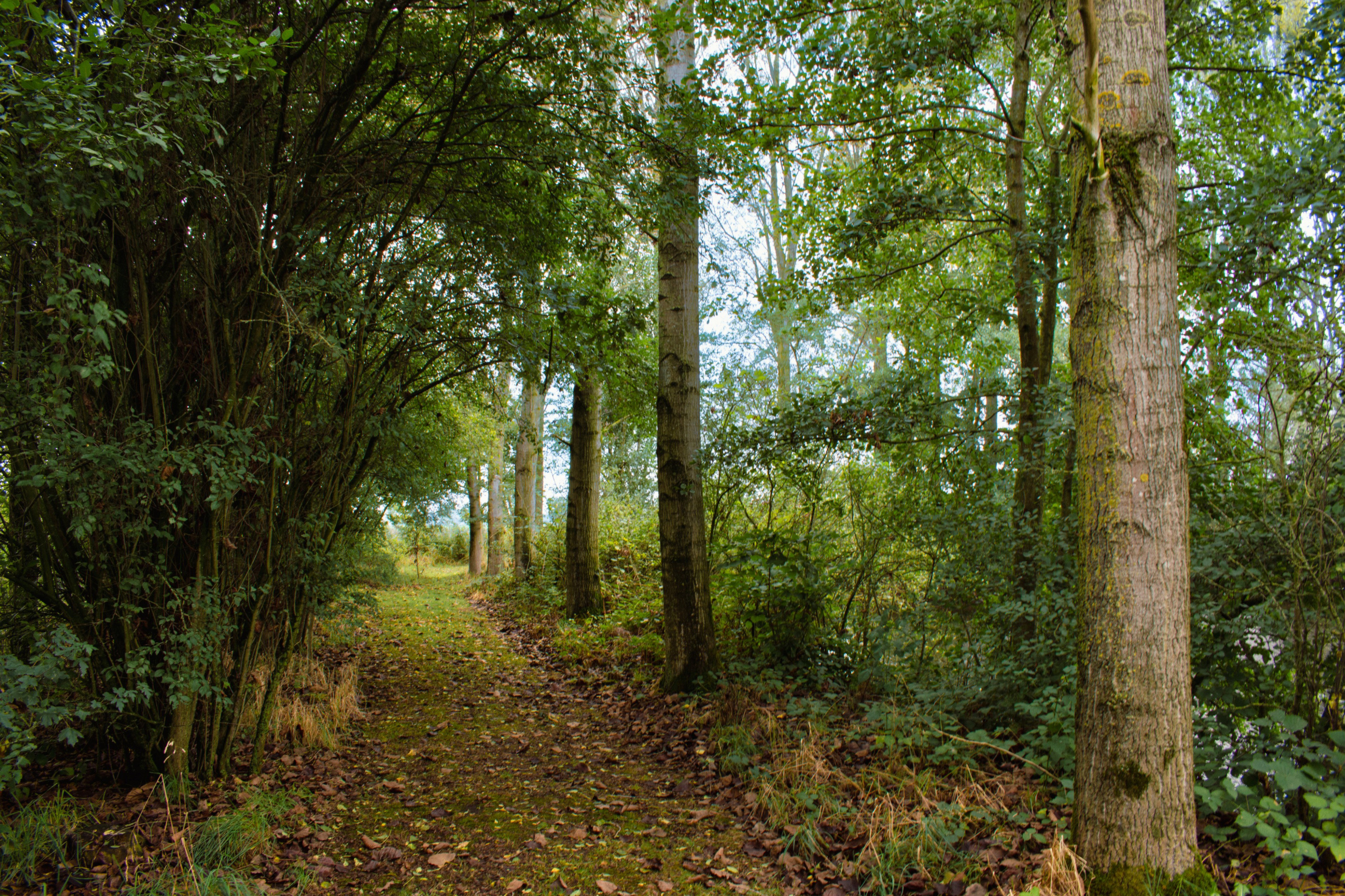 Naturhäuschen in Zuiddorpe
