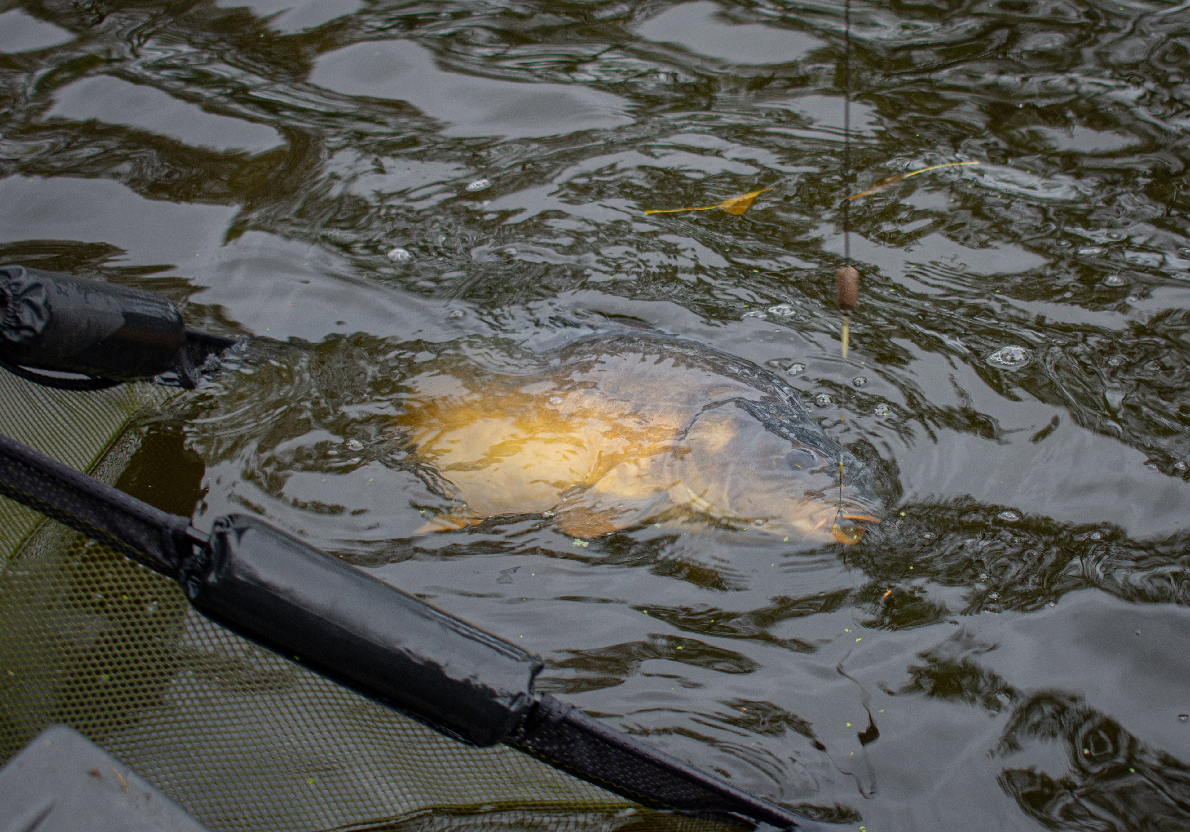 Naturhäuschen in Zuiddorpe