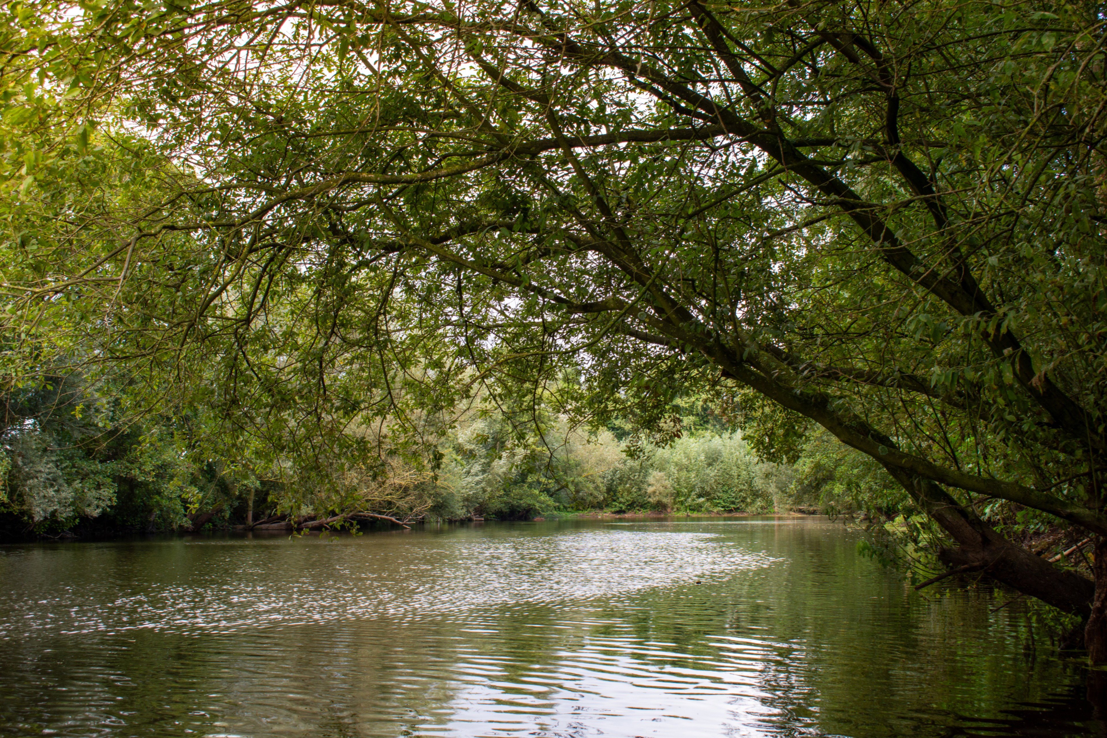 Naturhäuschen in Zuiddorpe