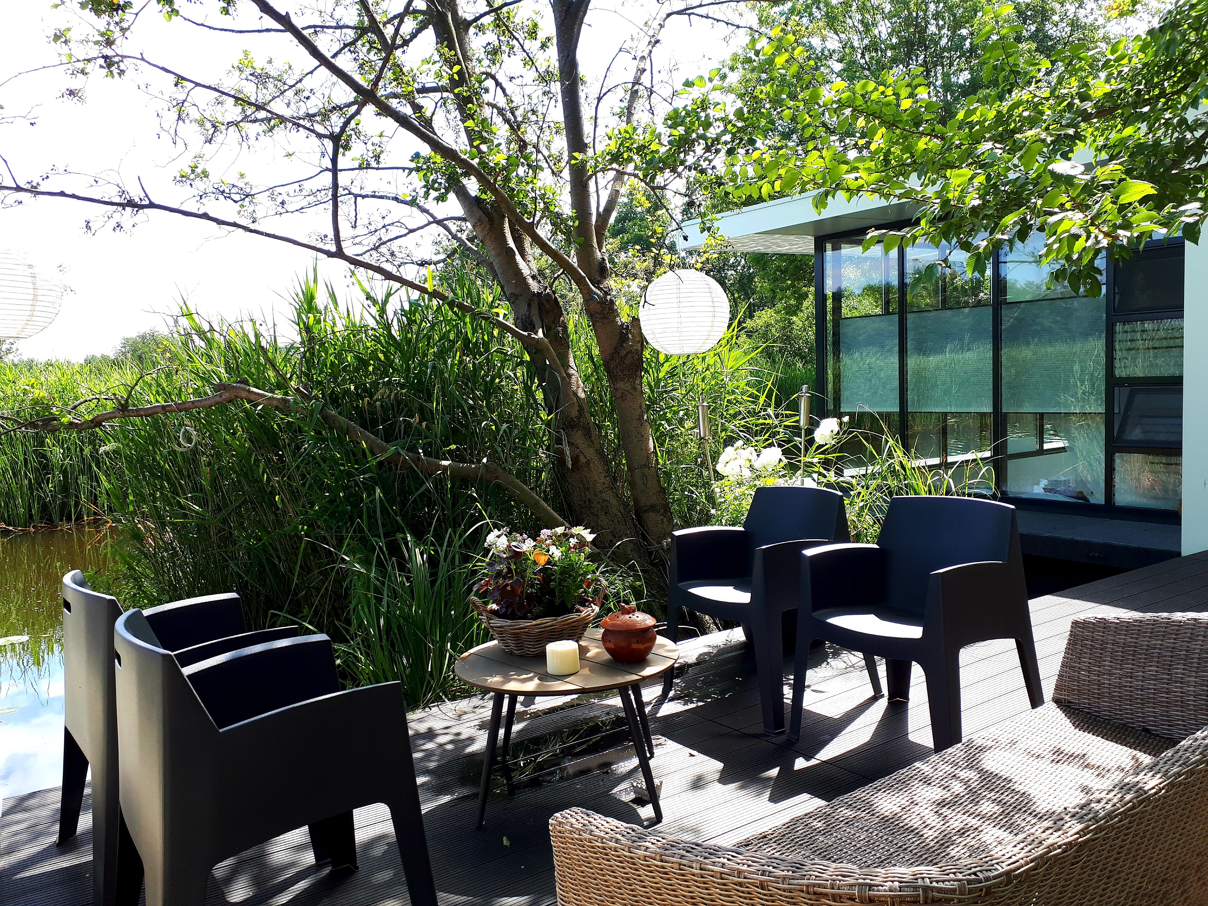 - image: 6