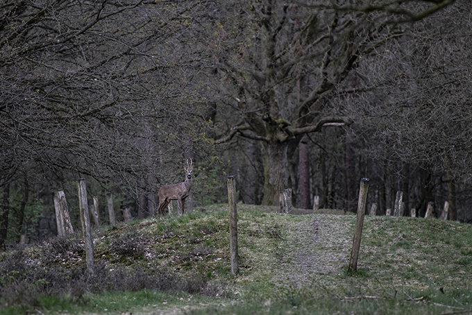 Naturhäuschen in Veldhoven (Oerle)
