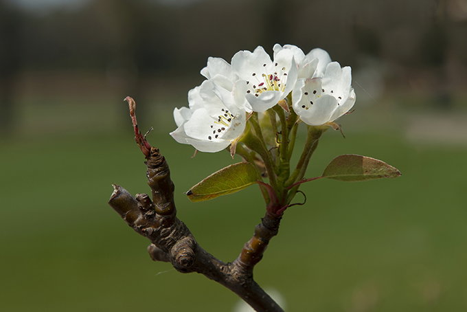 - image: 11