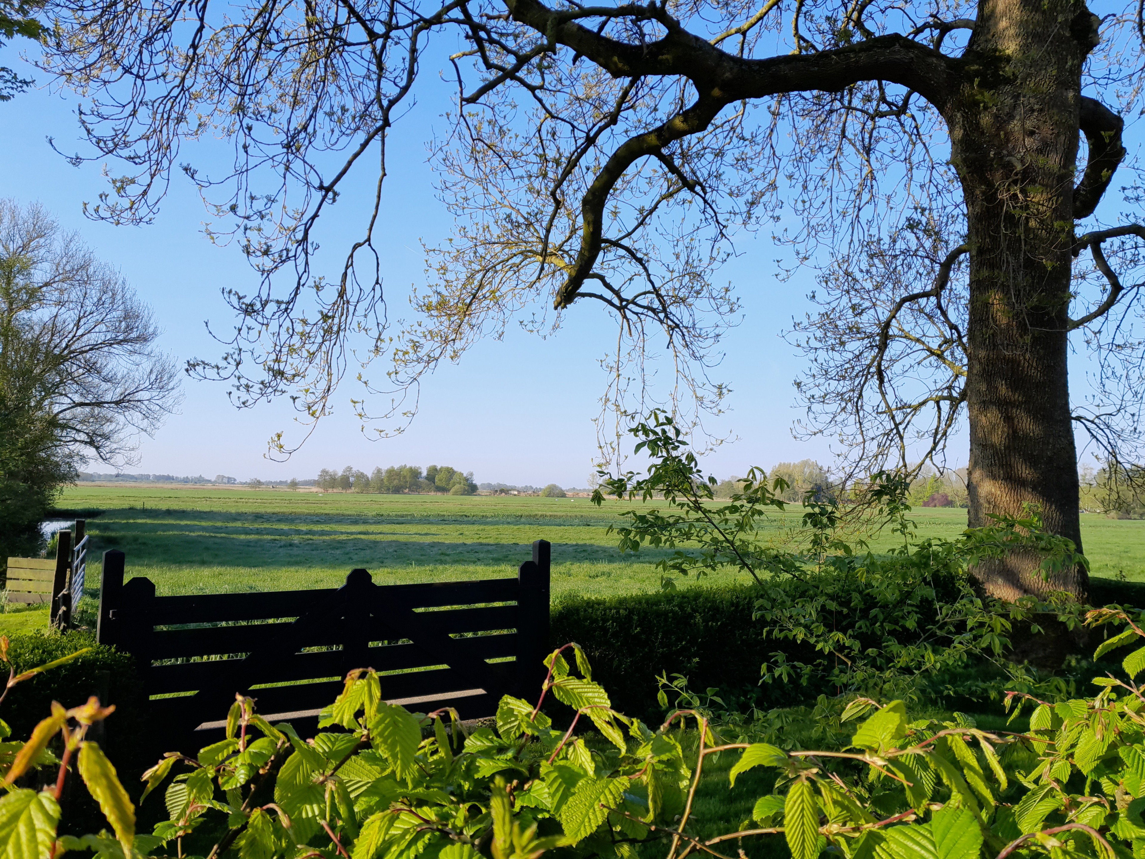 Natuurhuisje in Giethoorn