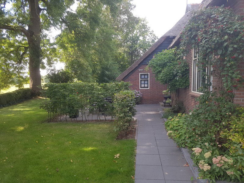 - image: 24
