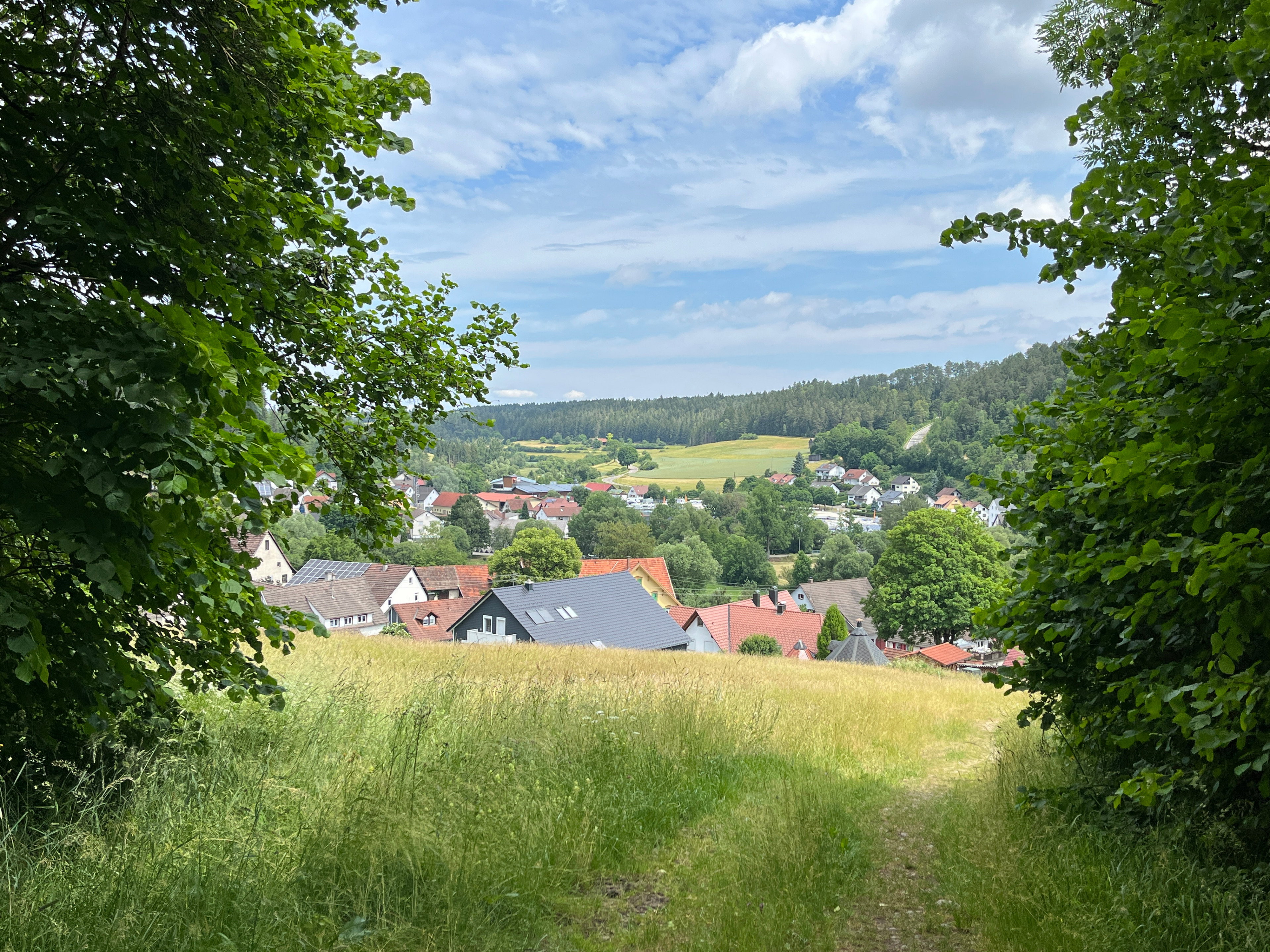 - image: 22
