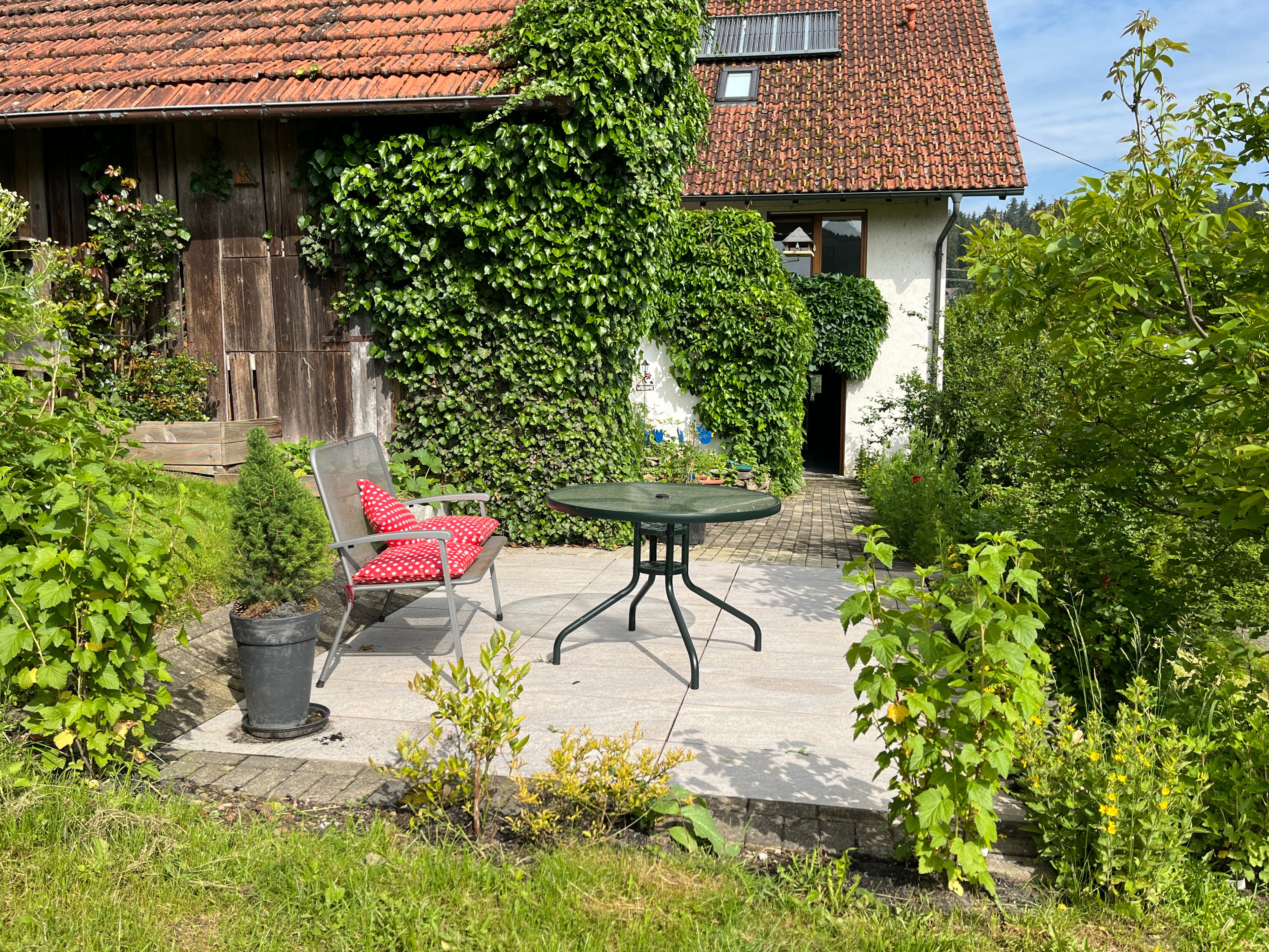- image: 12