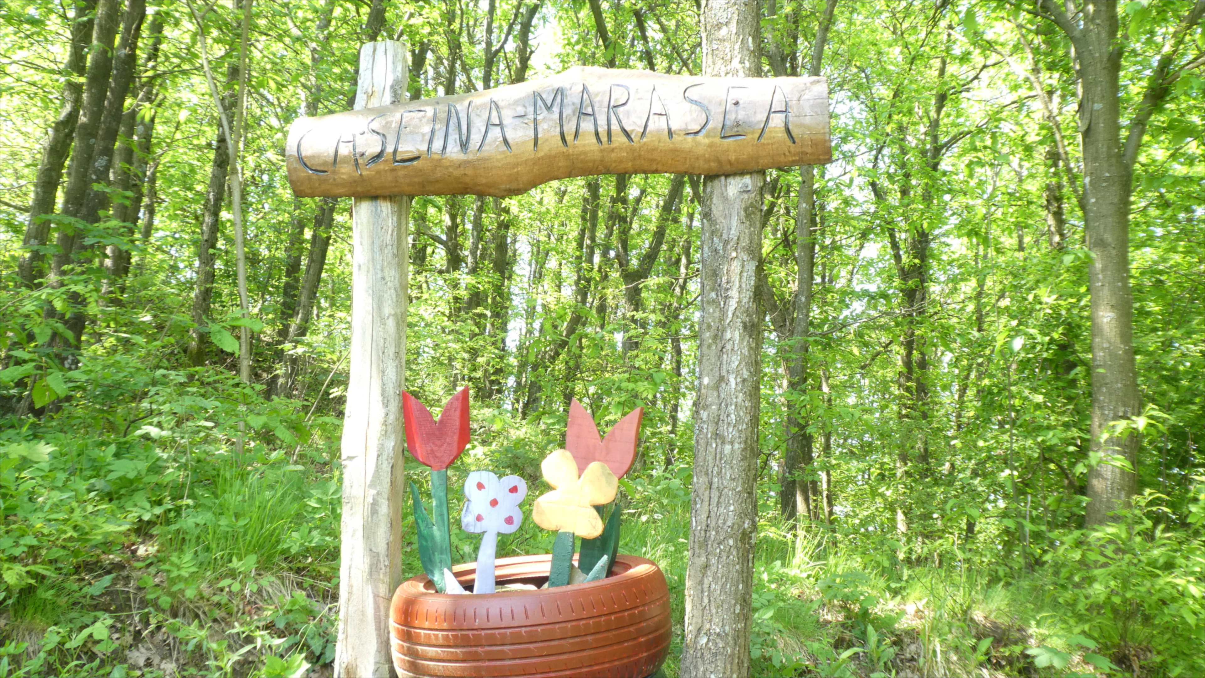 - image: 14