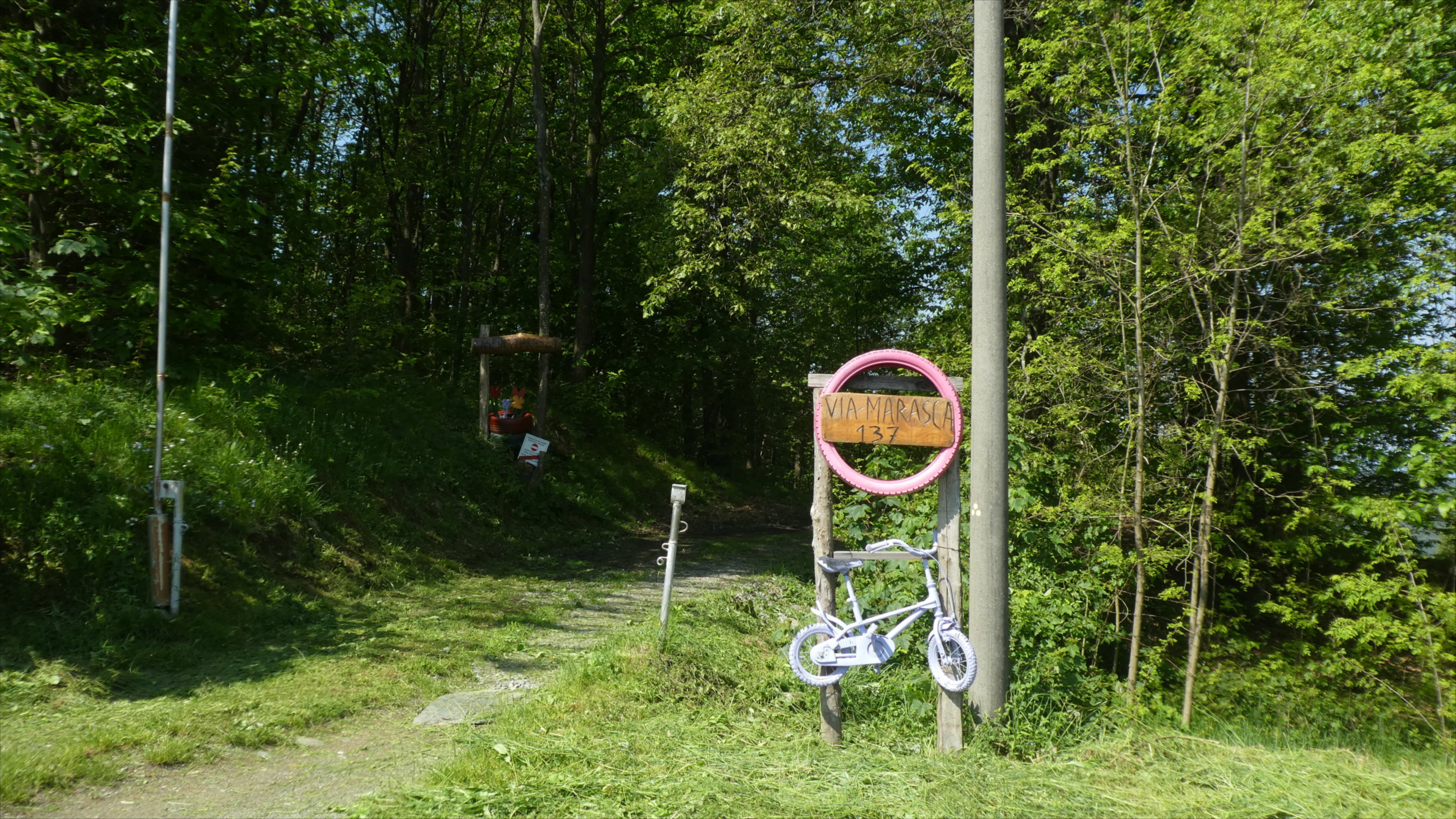 - image: 13