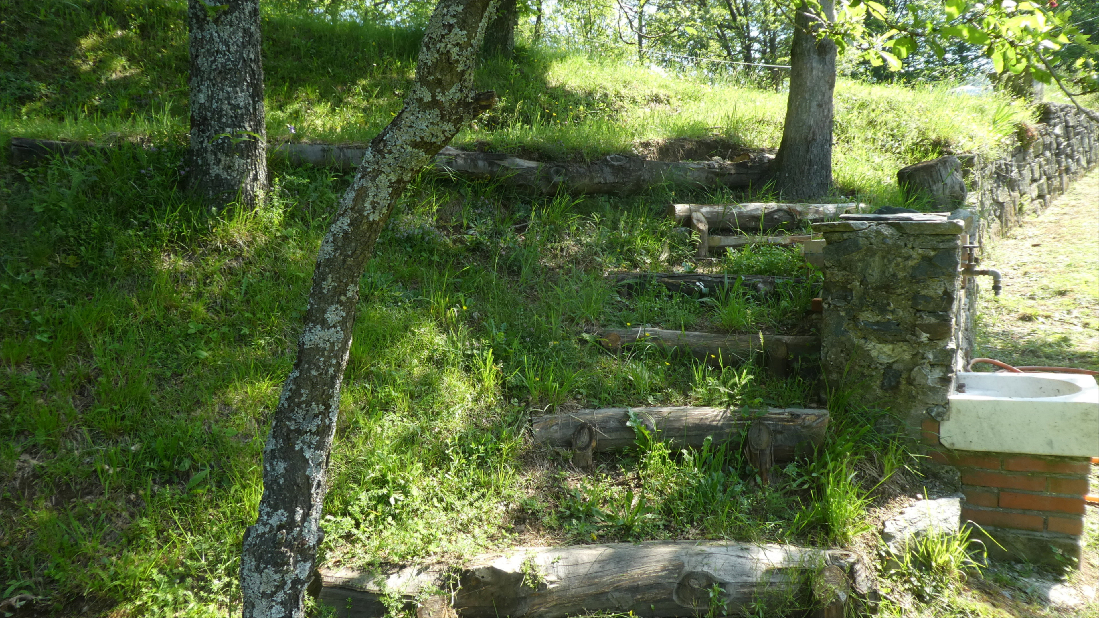 - image: 13