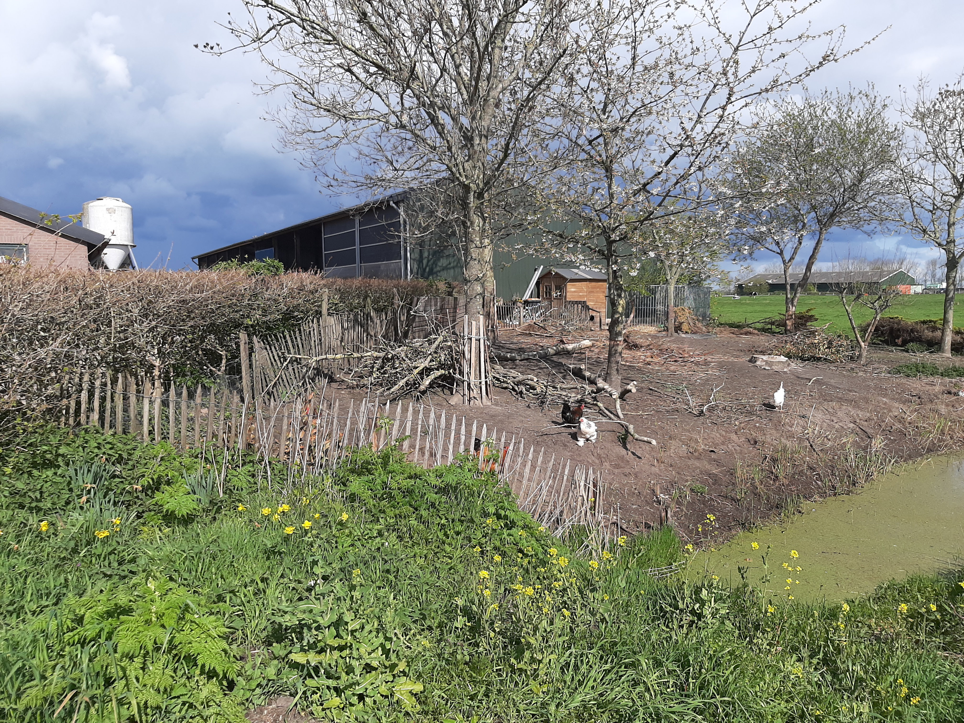 Maison nature à bunschoten