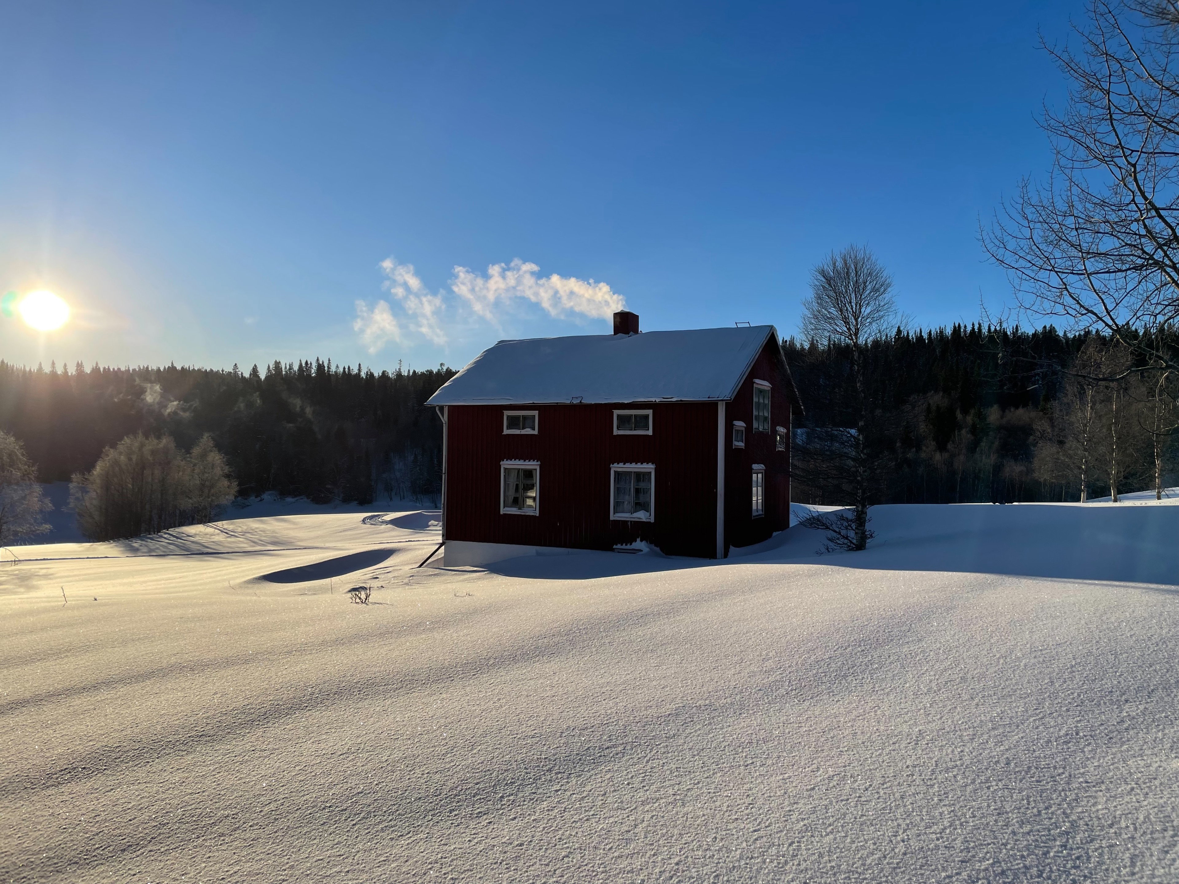 Natuurhuisje in Järpen