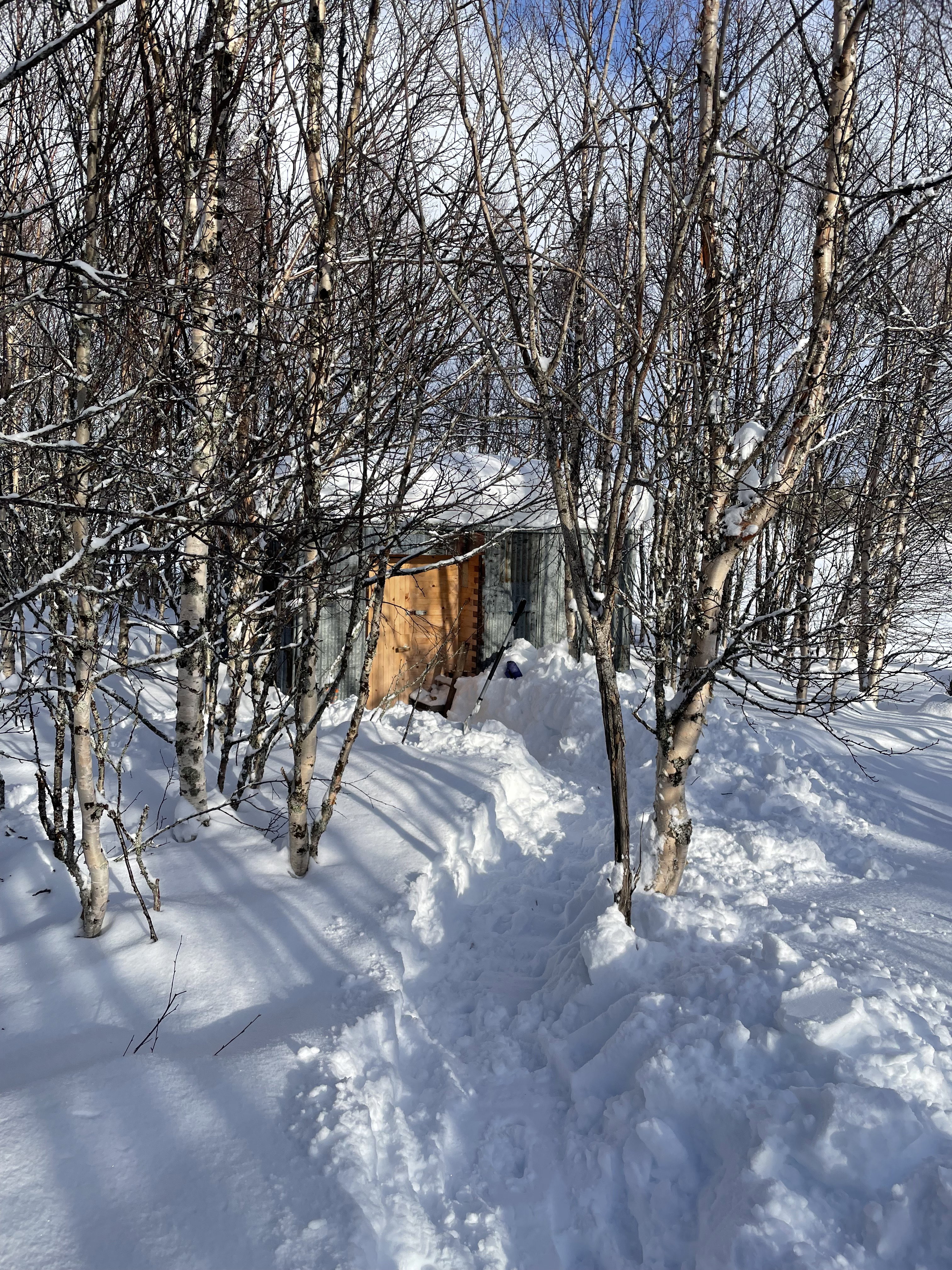 Natuurhuisje in Järpen