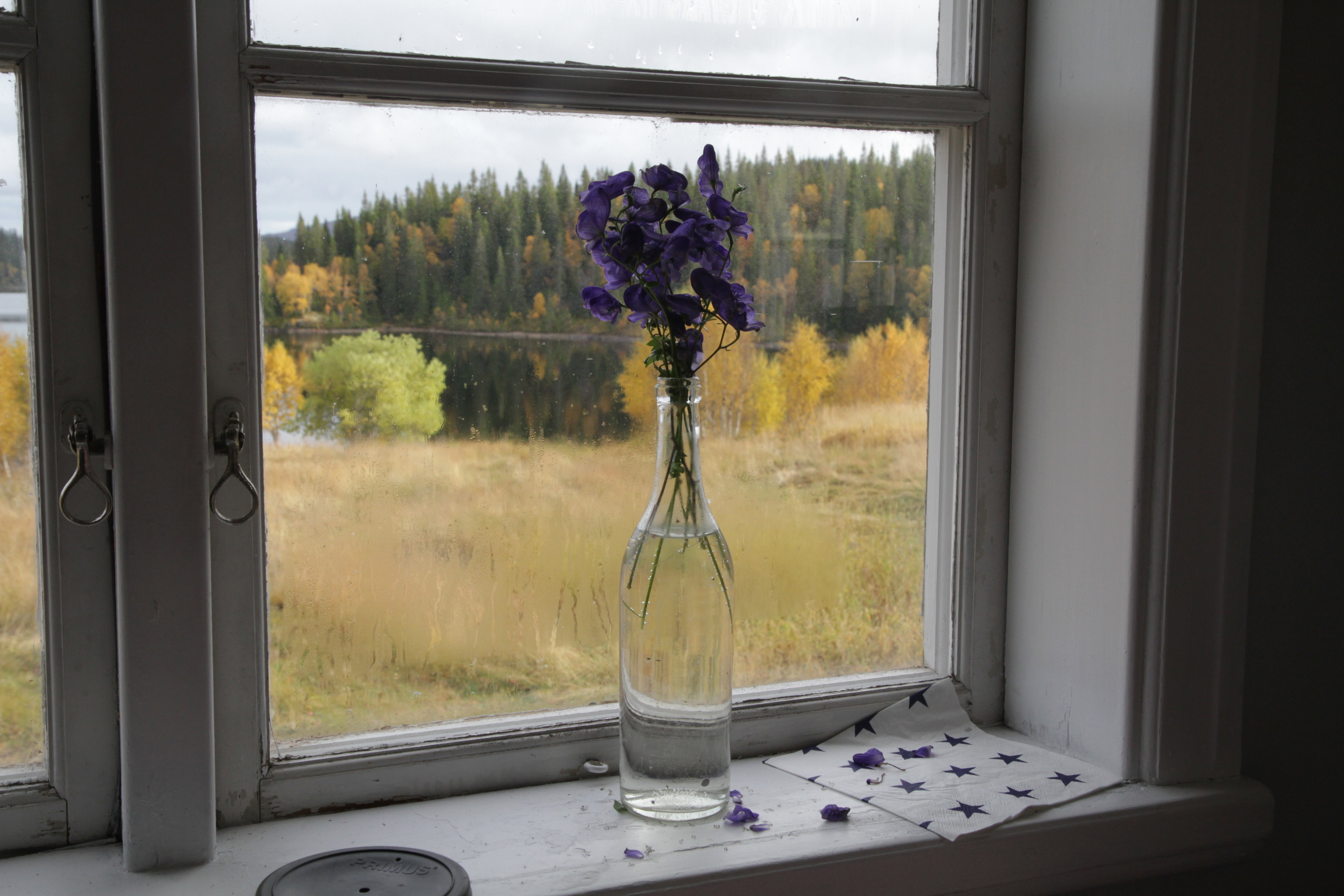 Natuurhuisje in Järpen