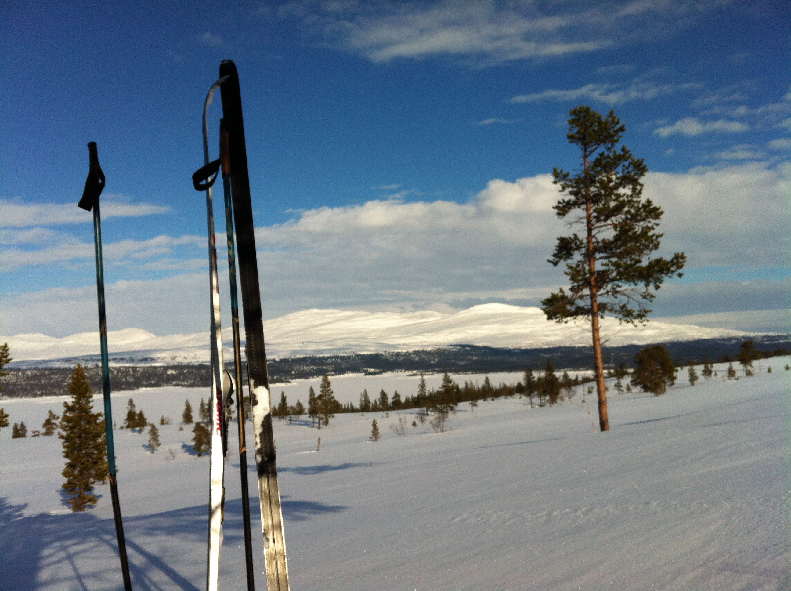 Natuurhuisje in Järpen