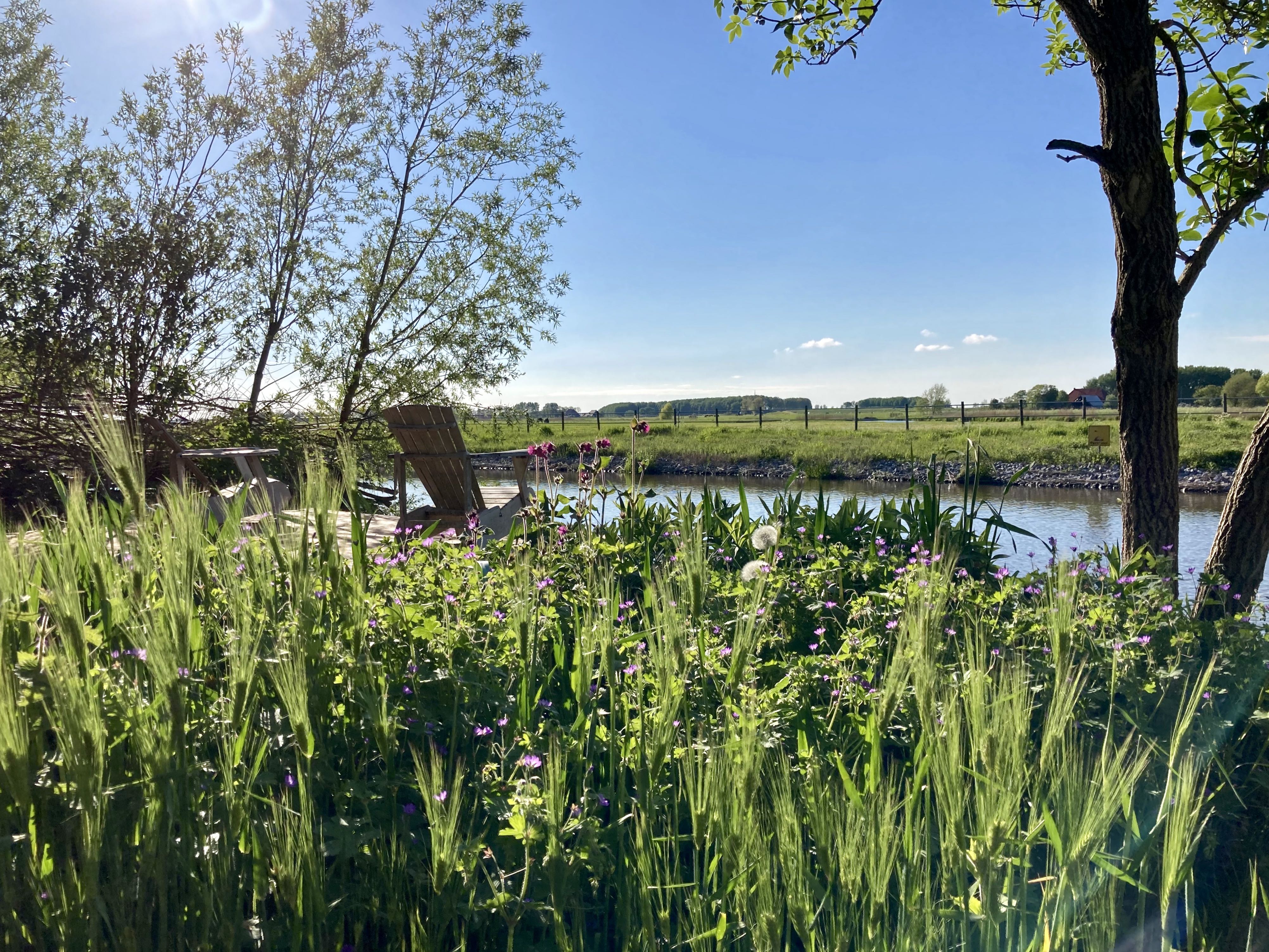 Naturhäuschen in Deinum