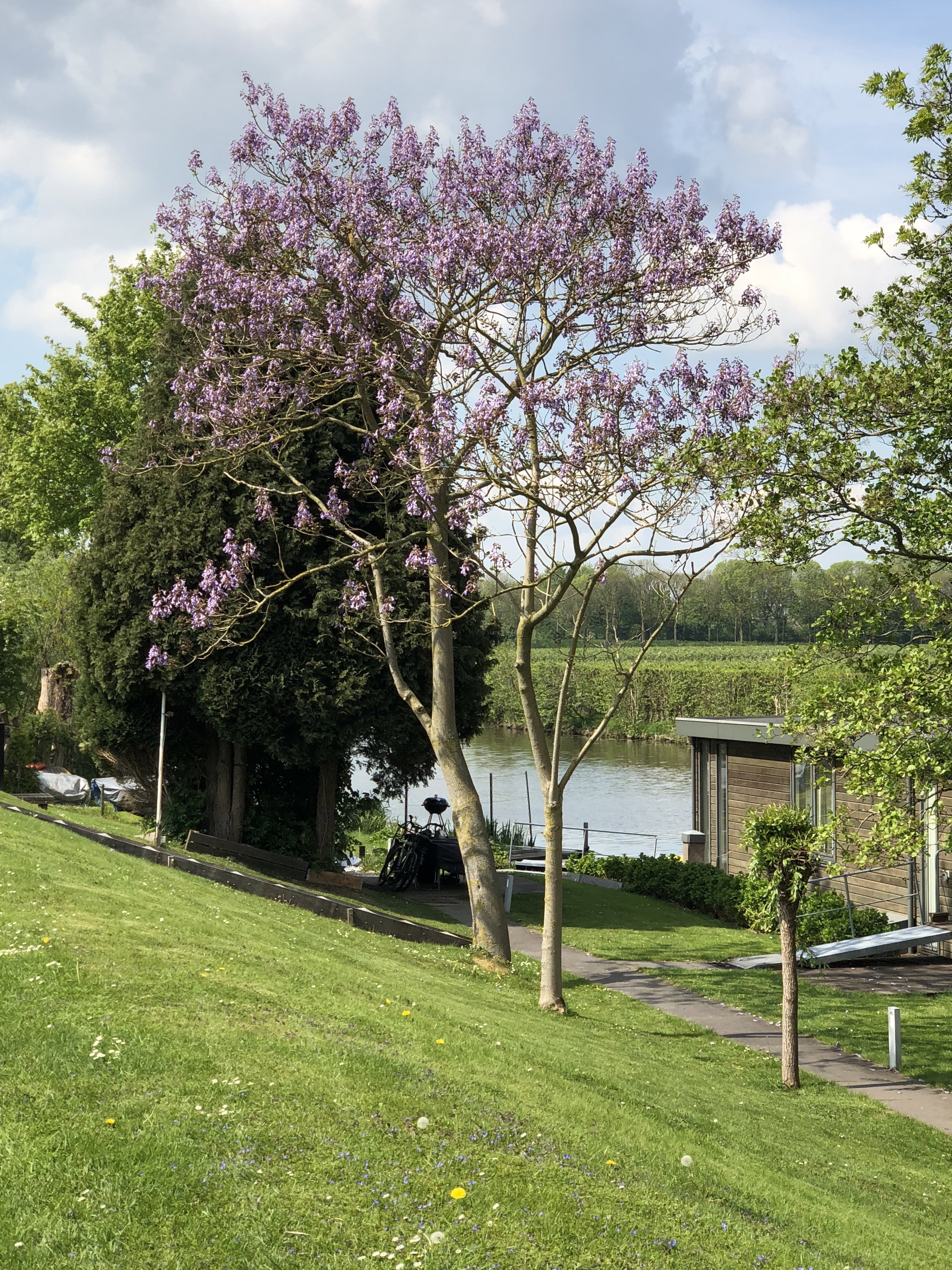 Naturhäuschen in Rumpt
