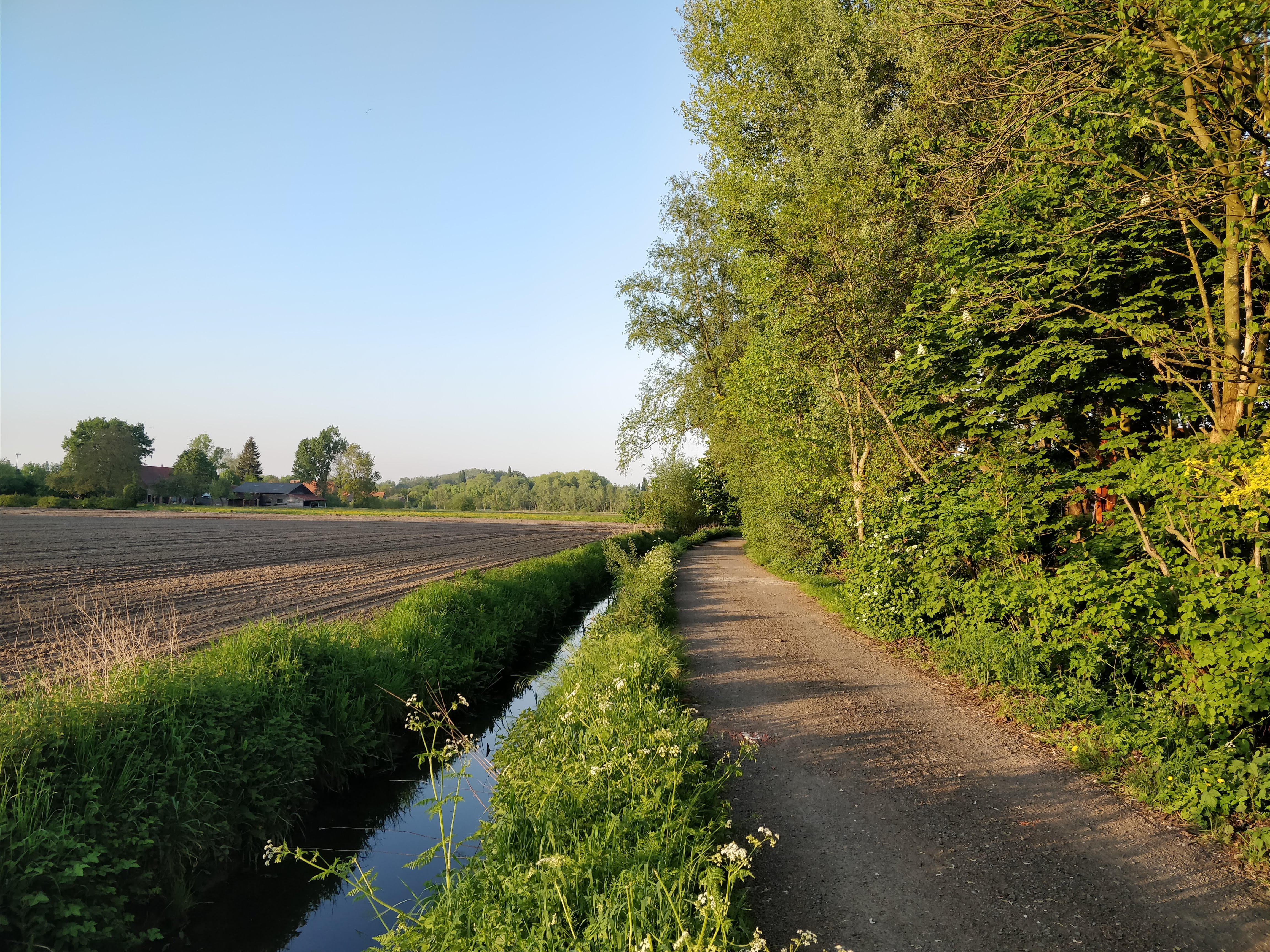 - image: 11