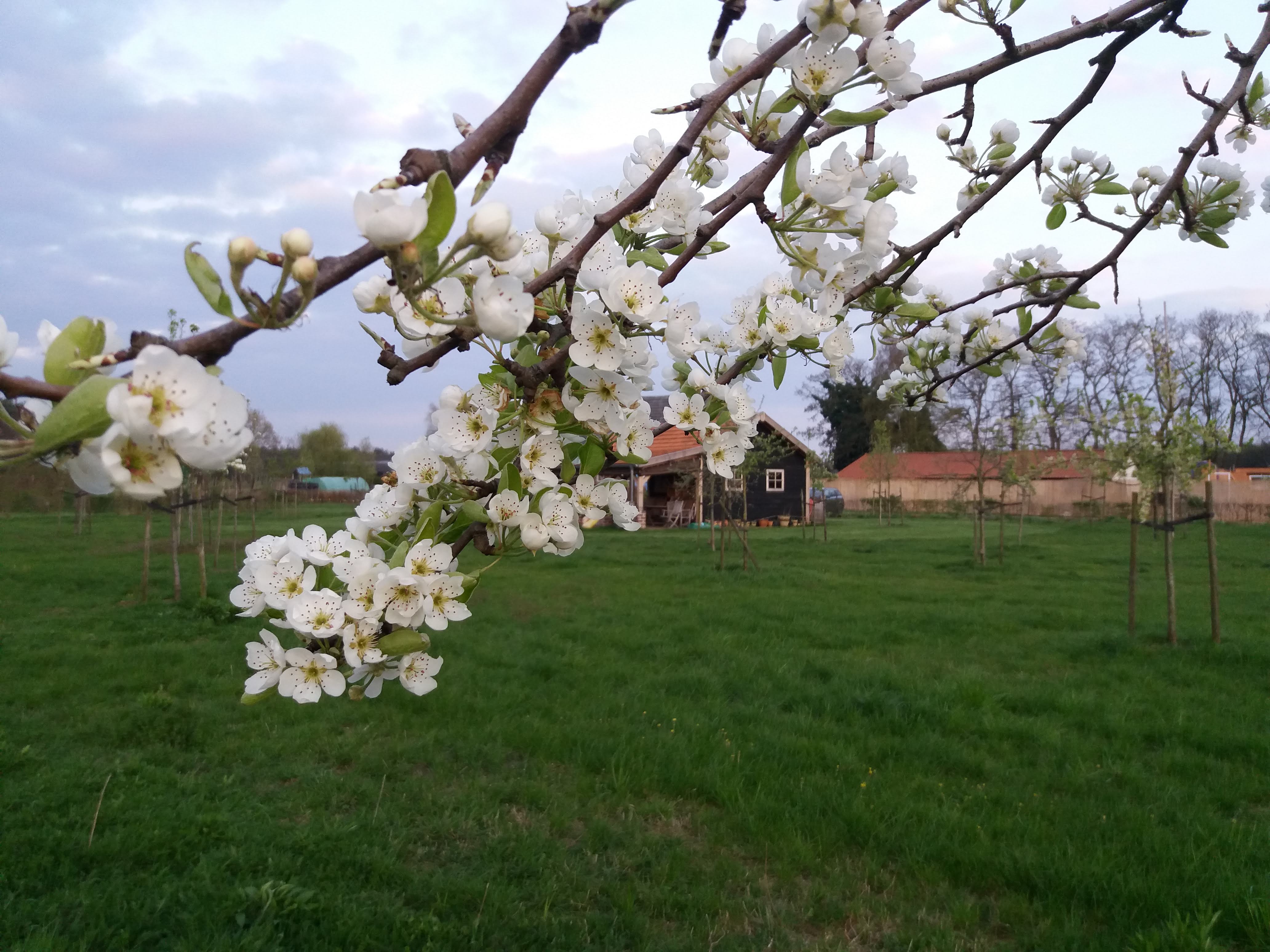 Maison nature à Grashoek