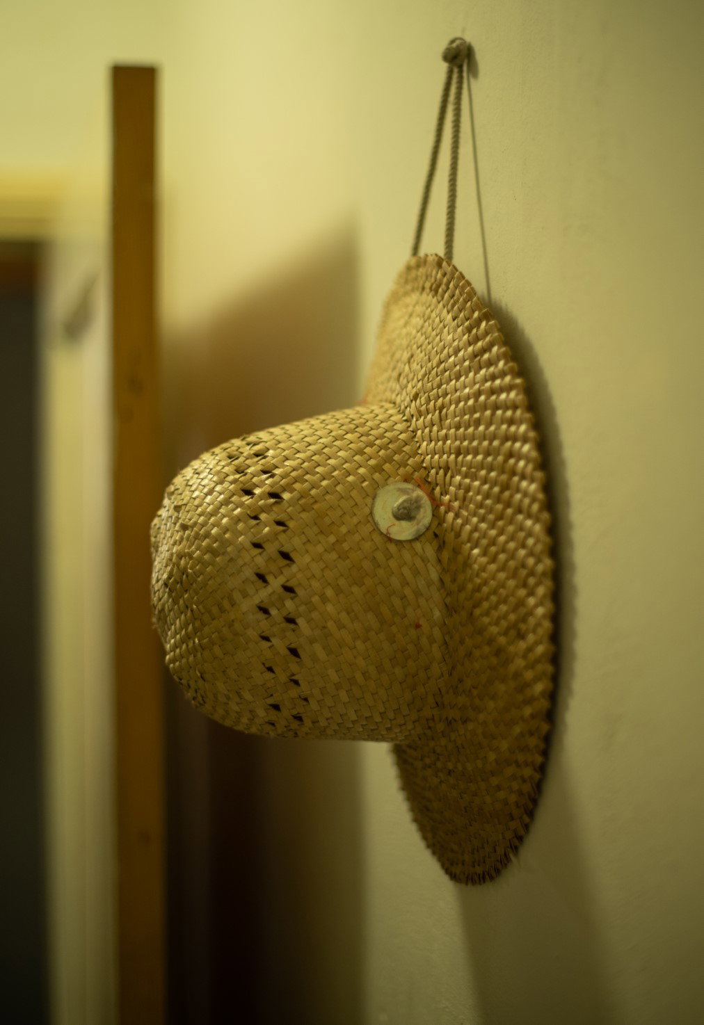 - image: 23