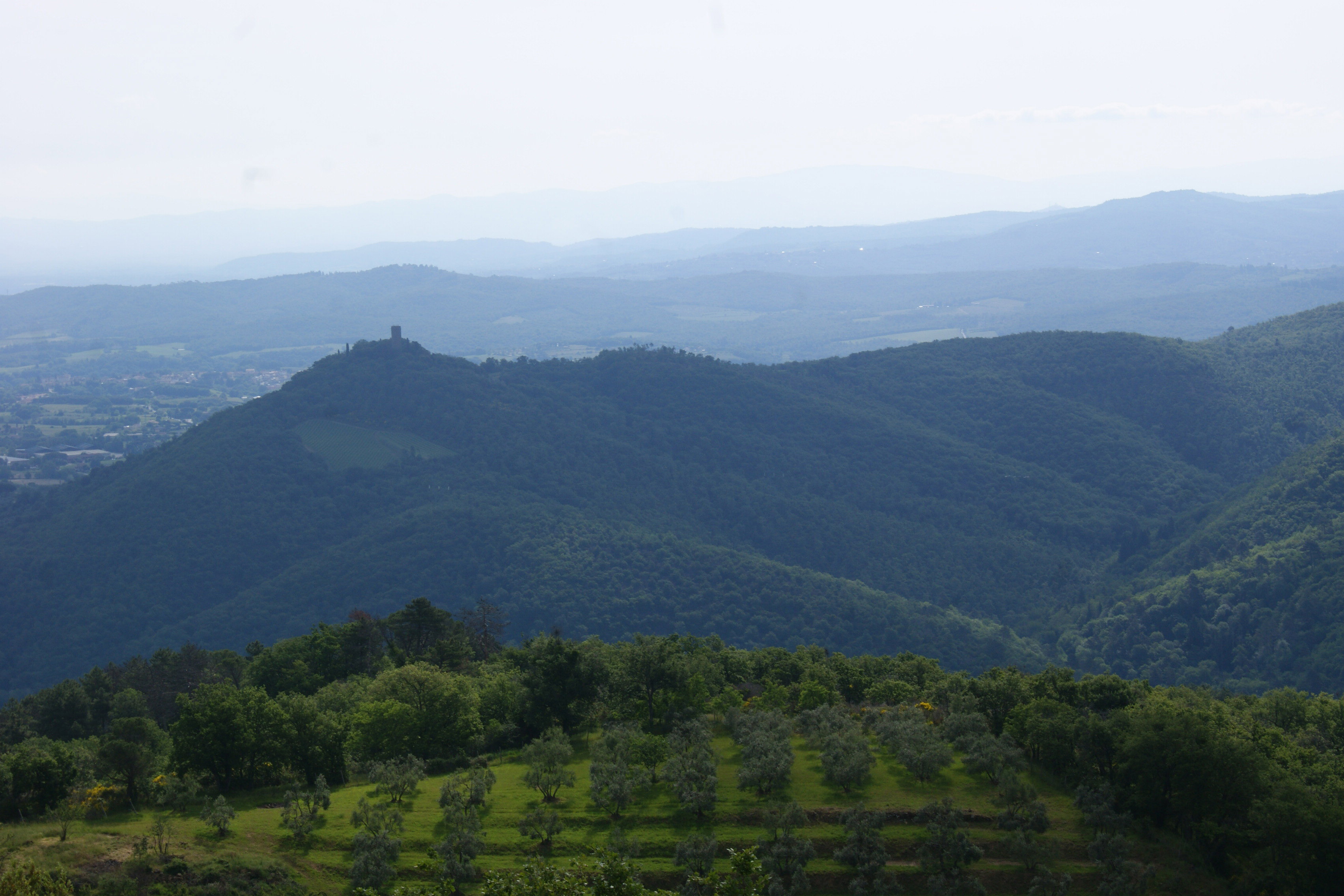 - image: 13