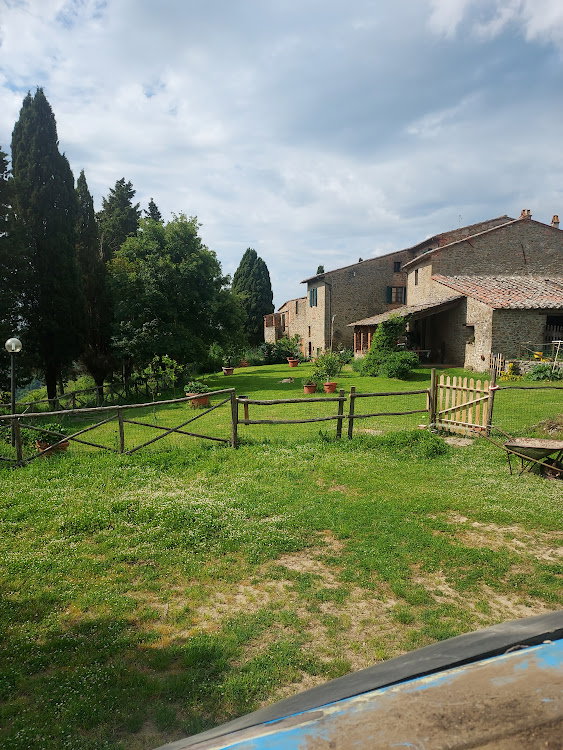 - image: 23