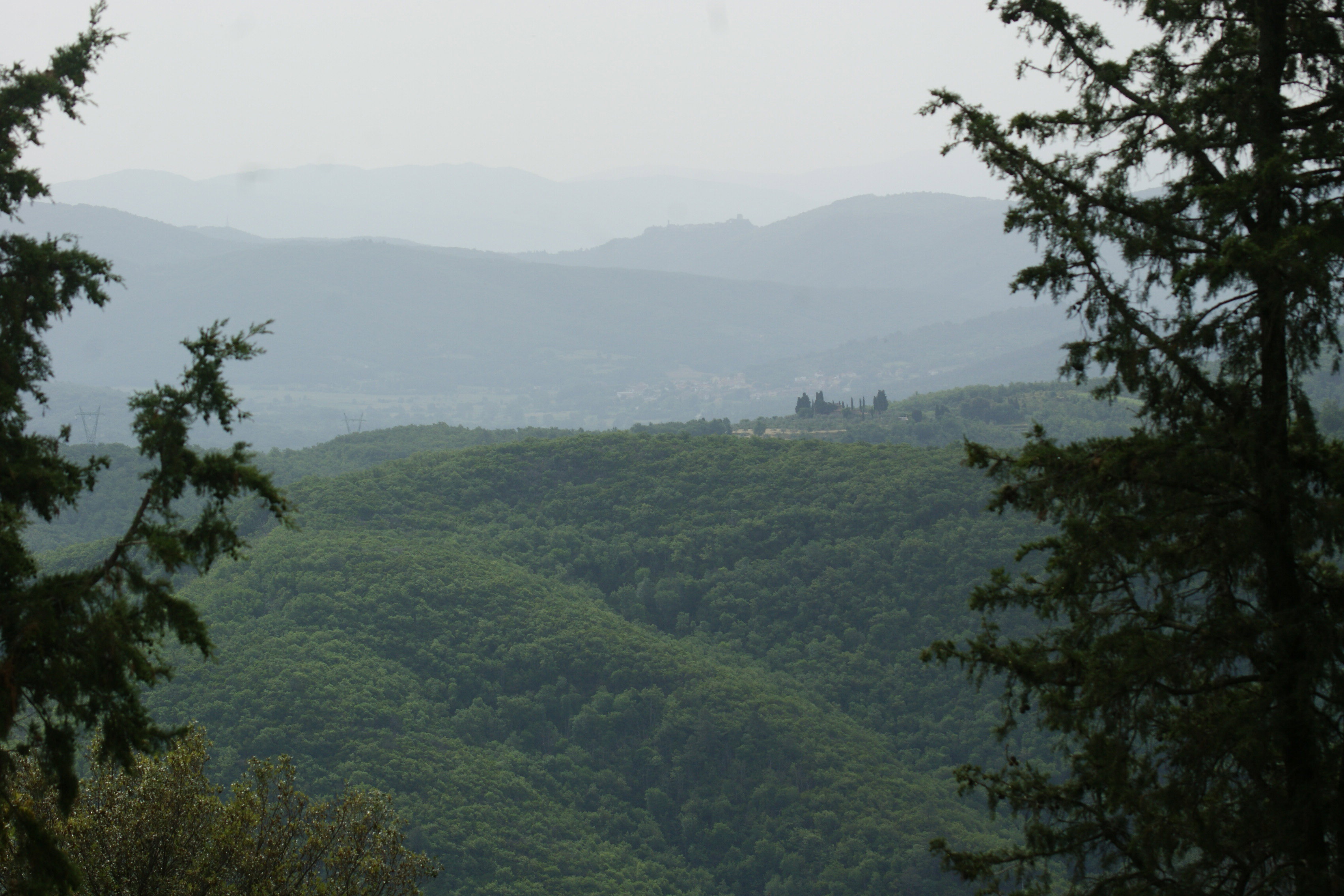 - image: 14