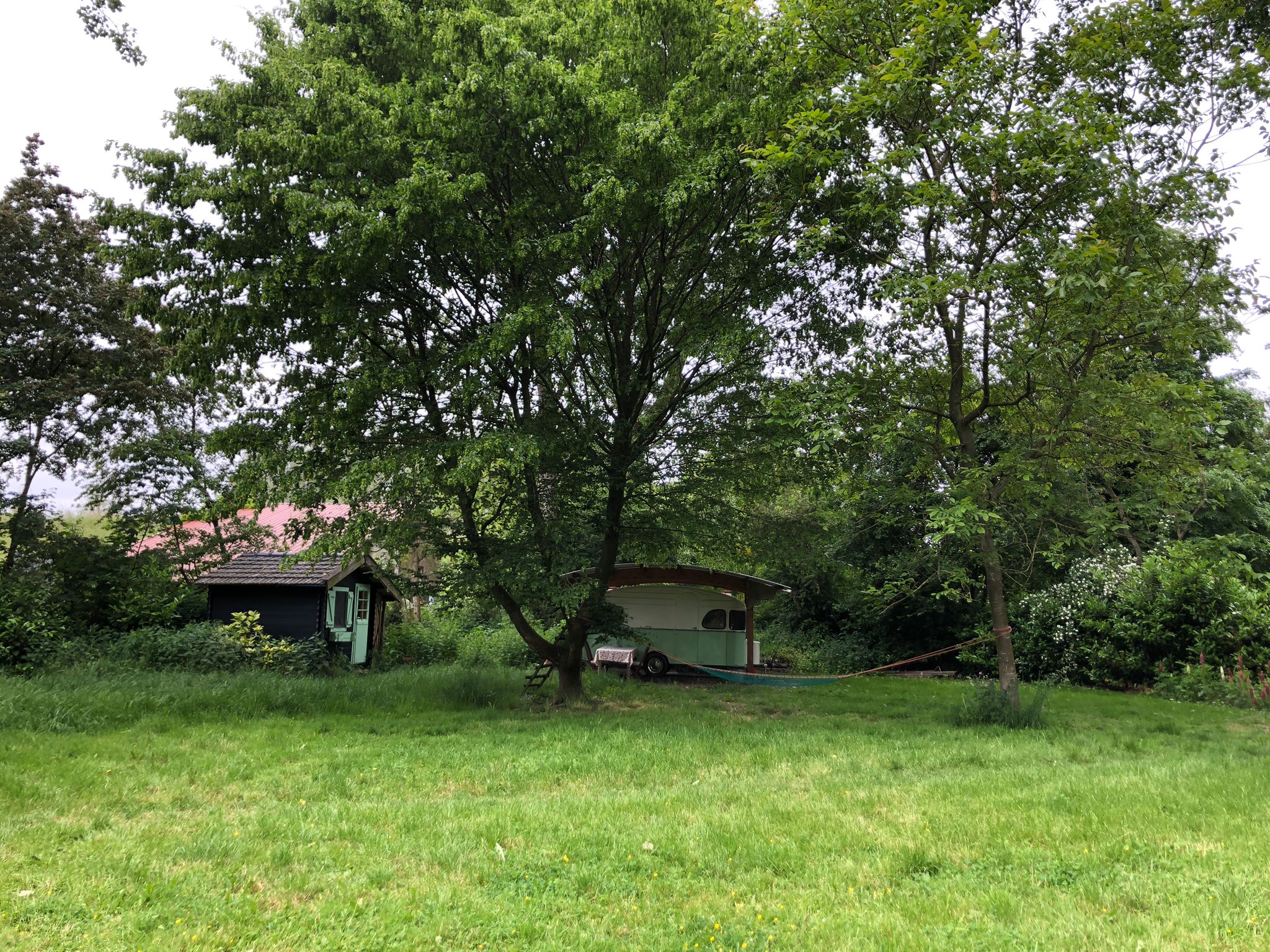 Casa nella natura a Dreumel