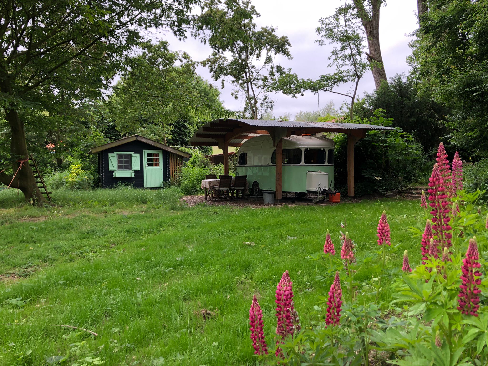 Casa nella natura a Dreumel