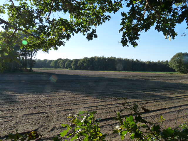 - image: 24