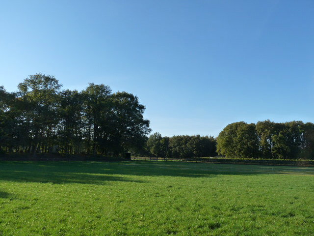 - image: 22
