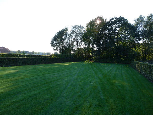 - image: 19