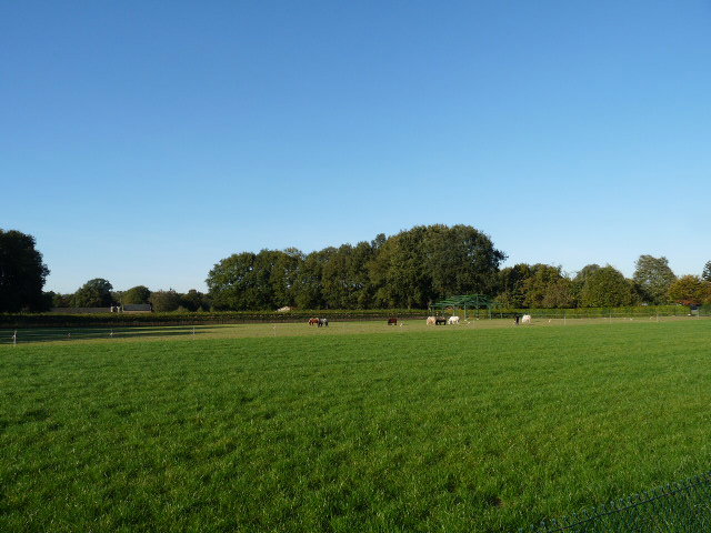 - image: 21