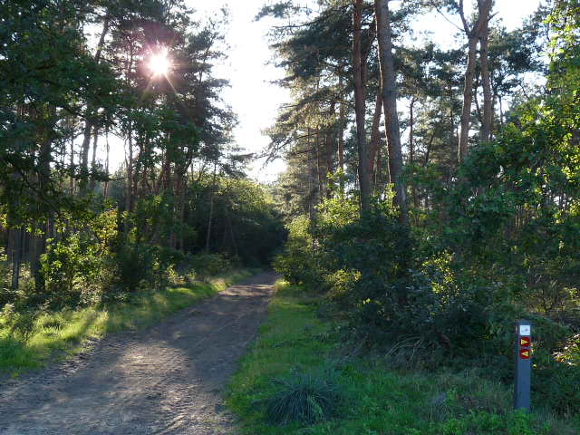 - image: 26
