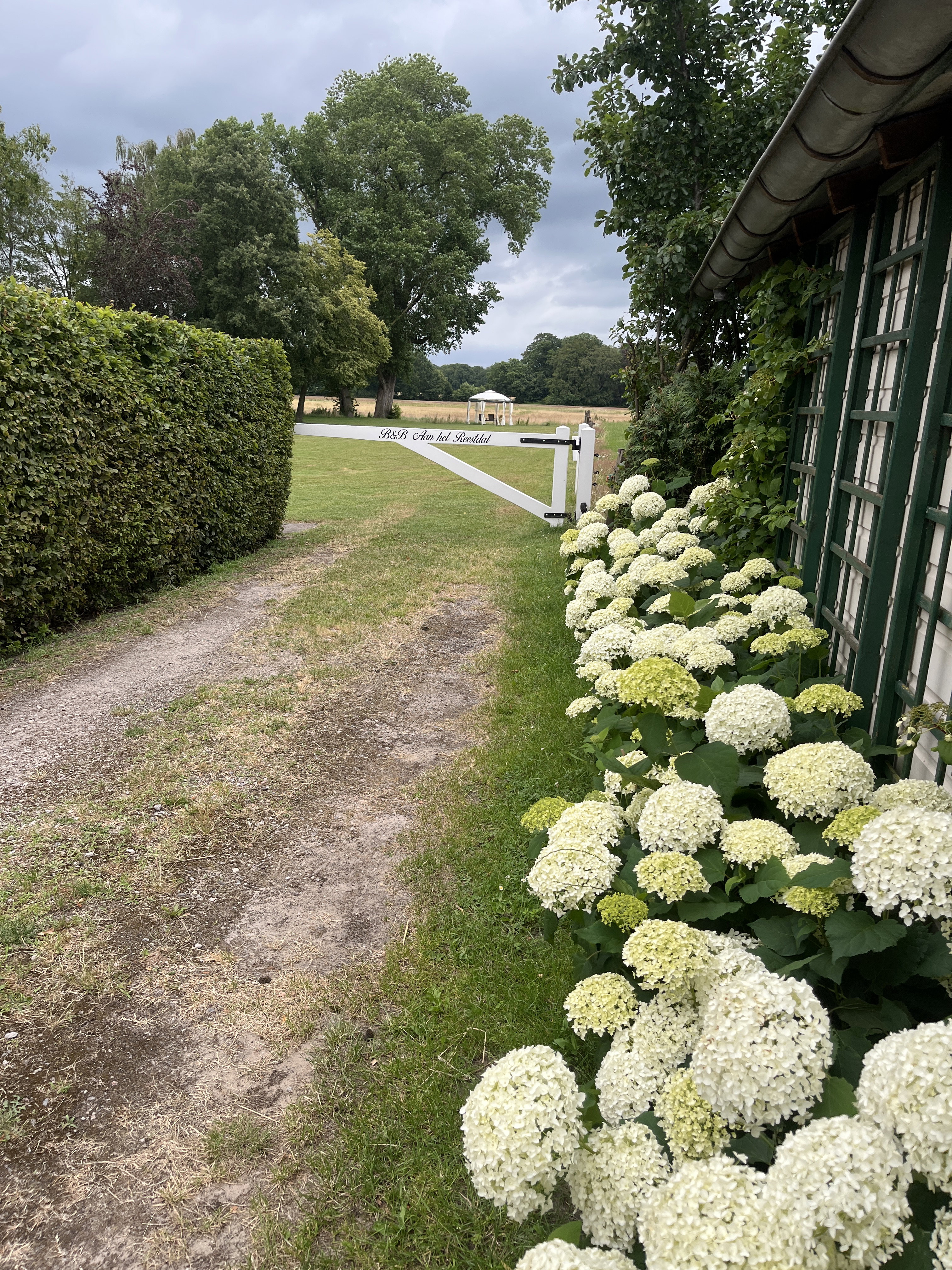 Natuurhuisje in IJhorst