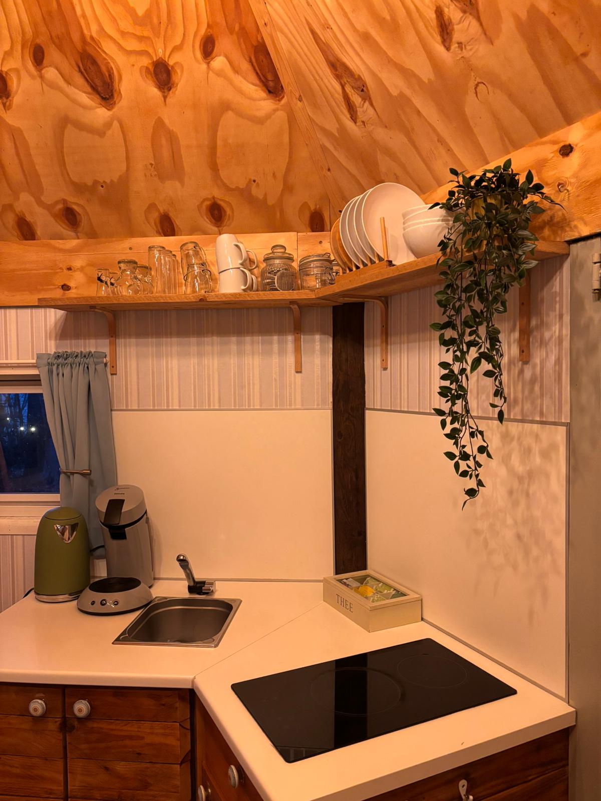 Maison nature à Twist