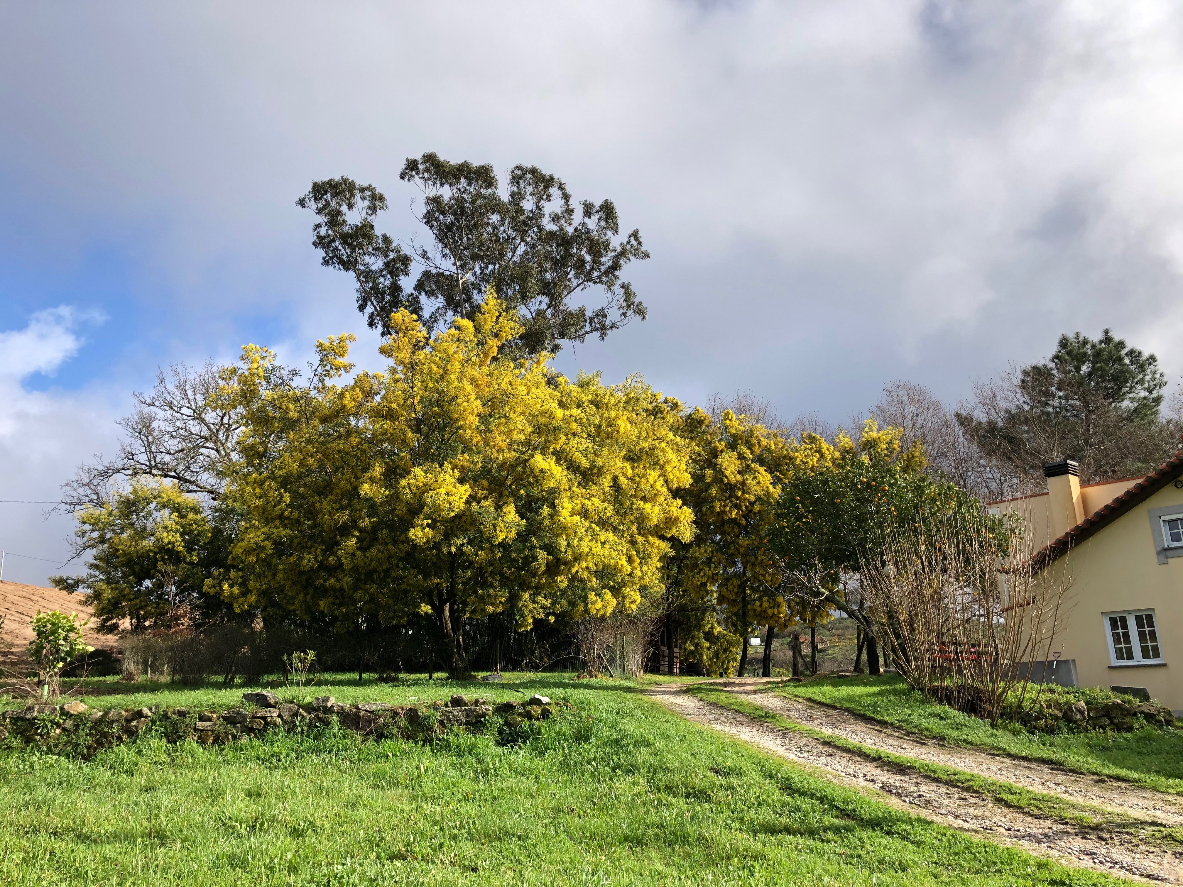 Natuurhuisje in Nogueira do Cravo (OHP)