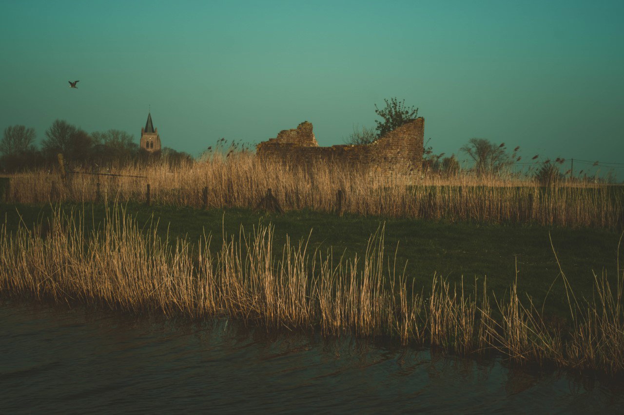 - image: 16