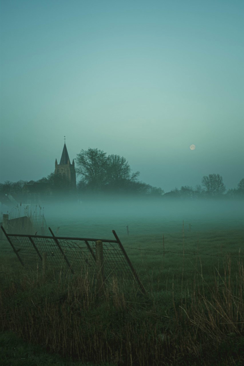 - image: 19