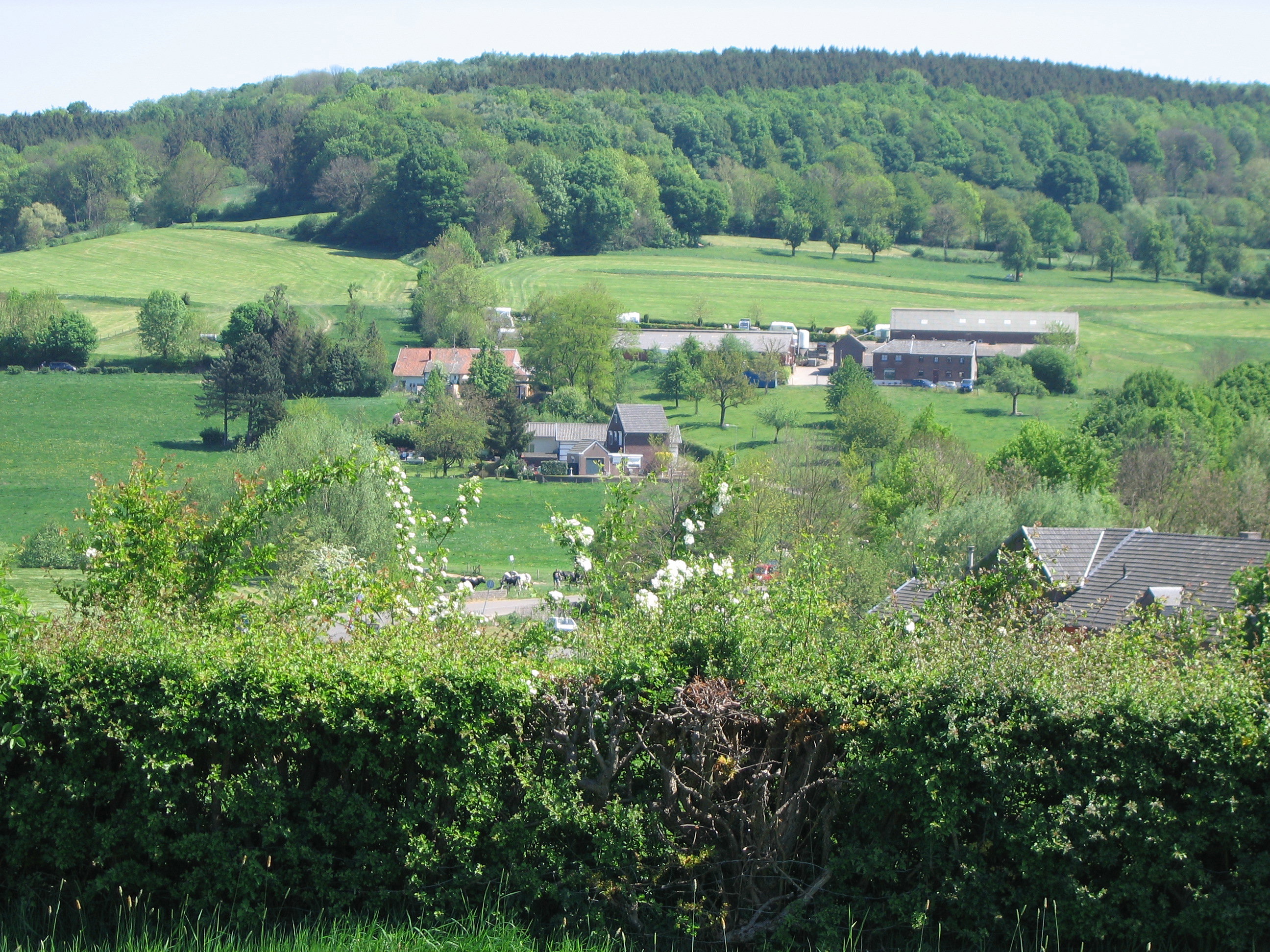 Natuurhuisje in Vijlen