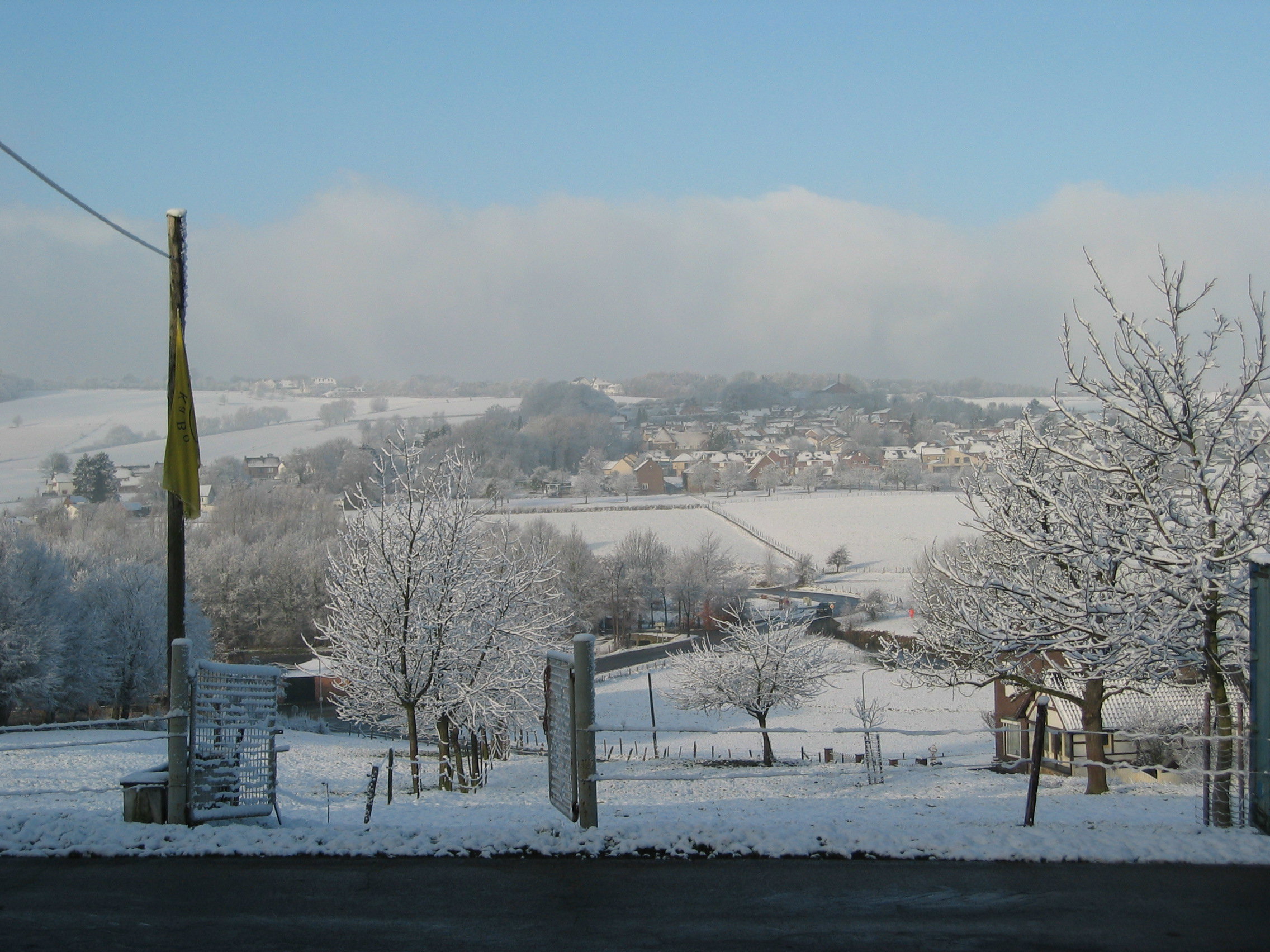 - image: 30