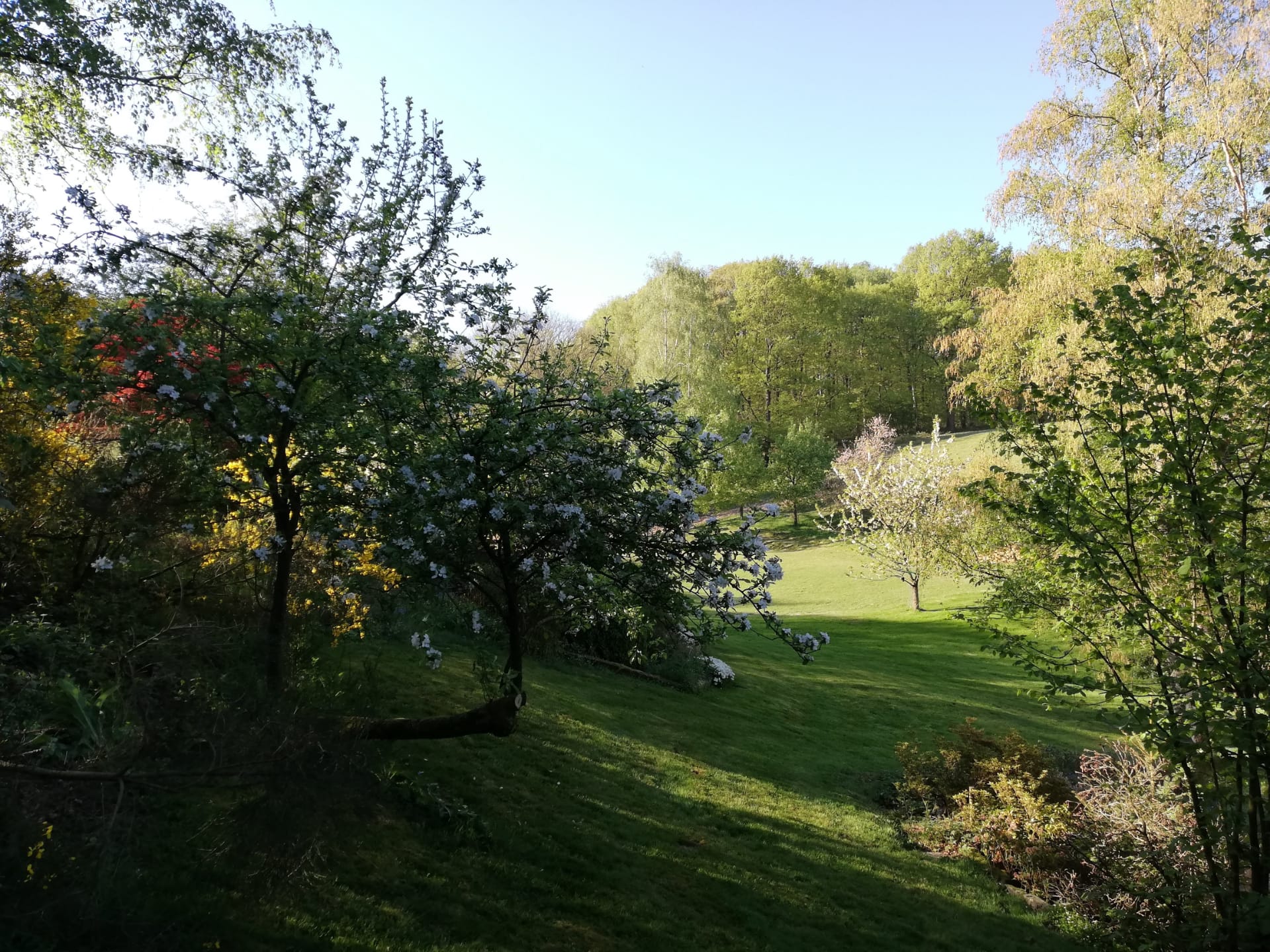 Maison nature à Namur
