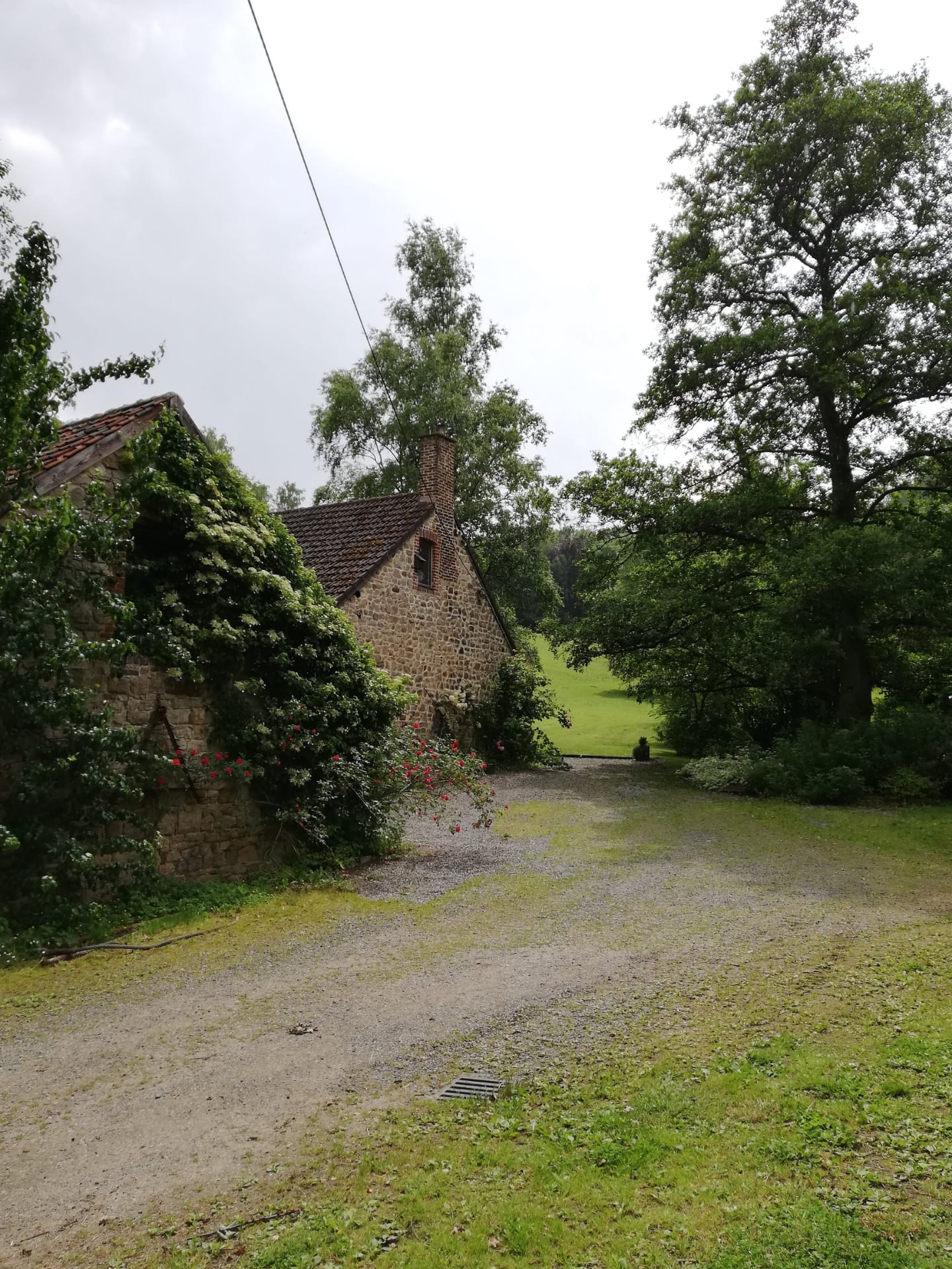 Maison nature à Namur