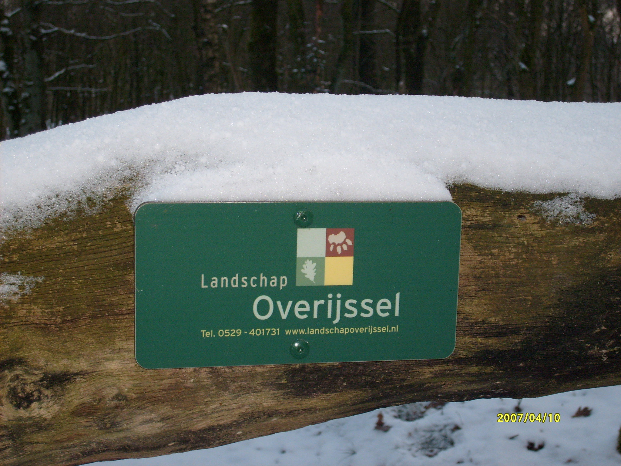- image: 11